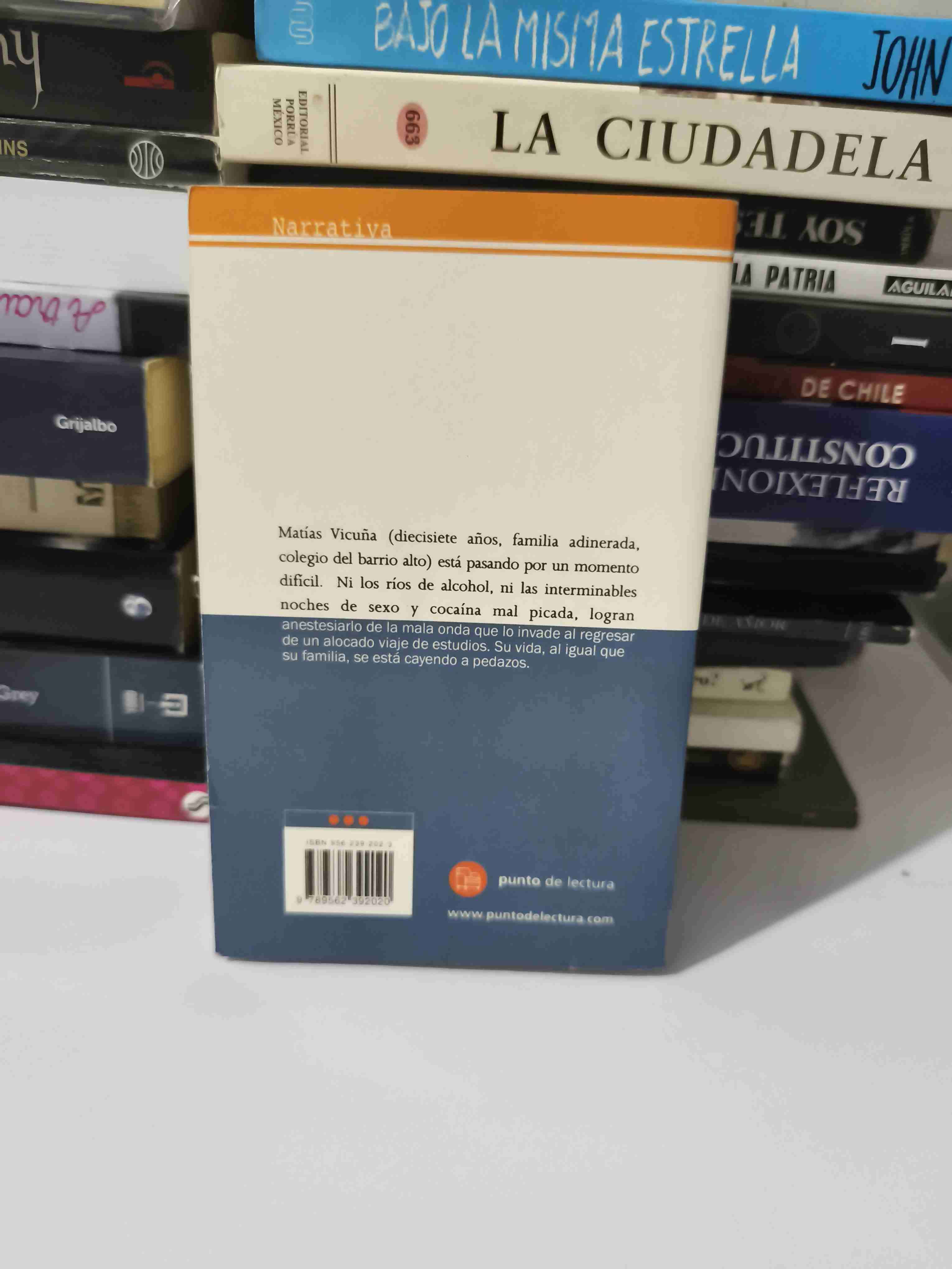 Libro 'Mala Onda' Alberto Fuguet - 4