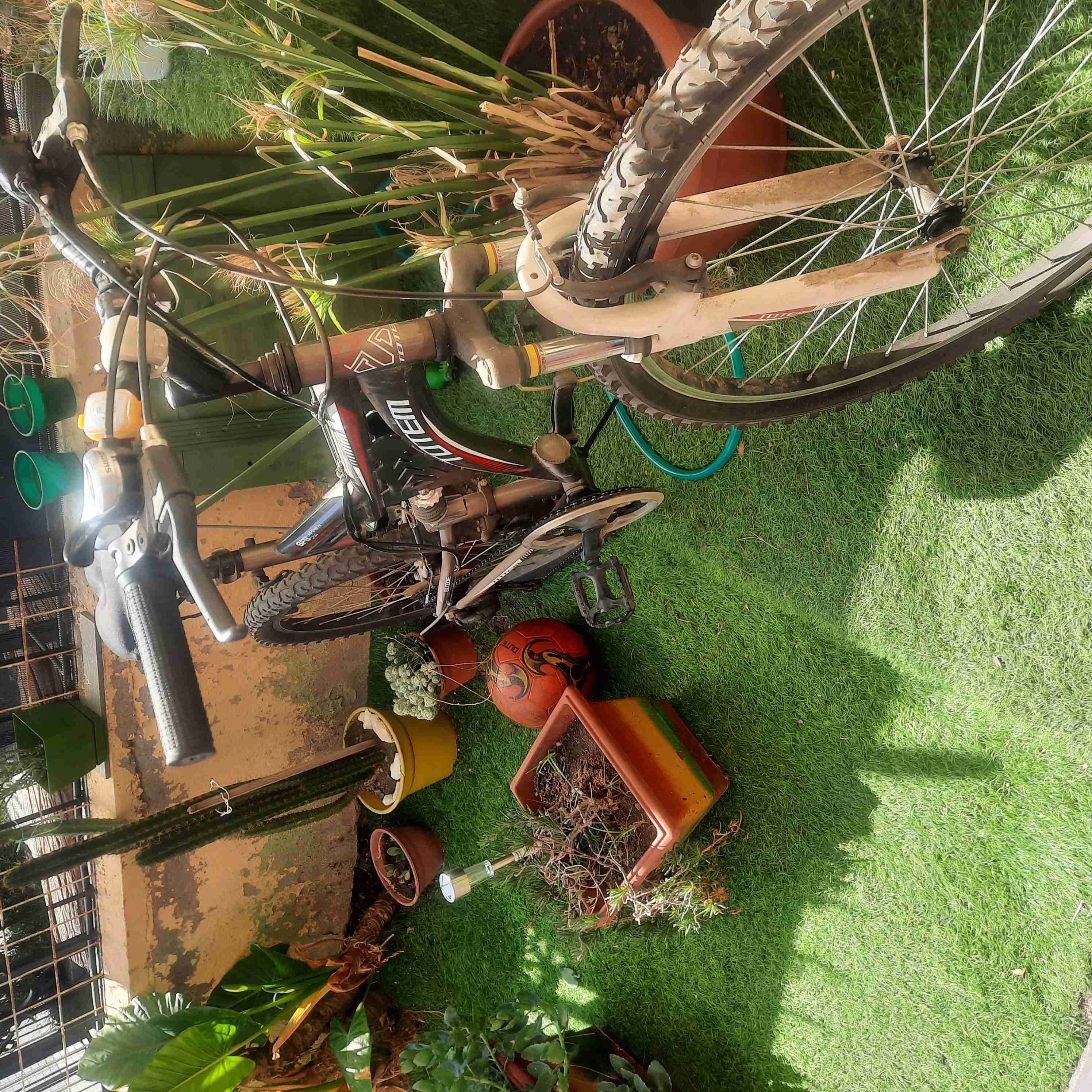 Bicicleta Totem montaña - miniatura 2