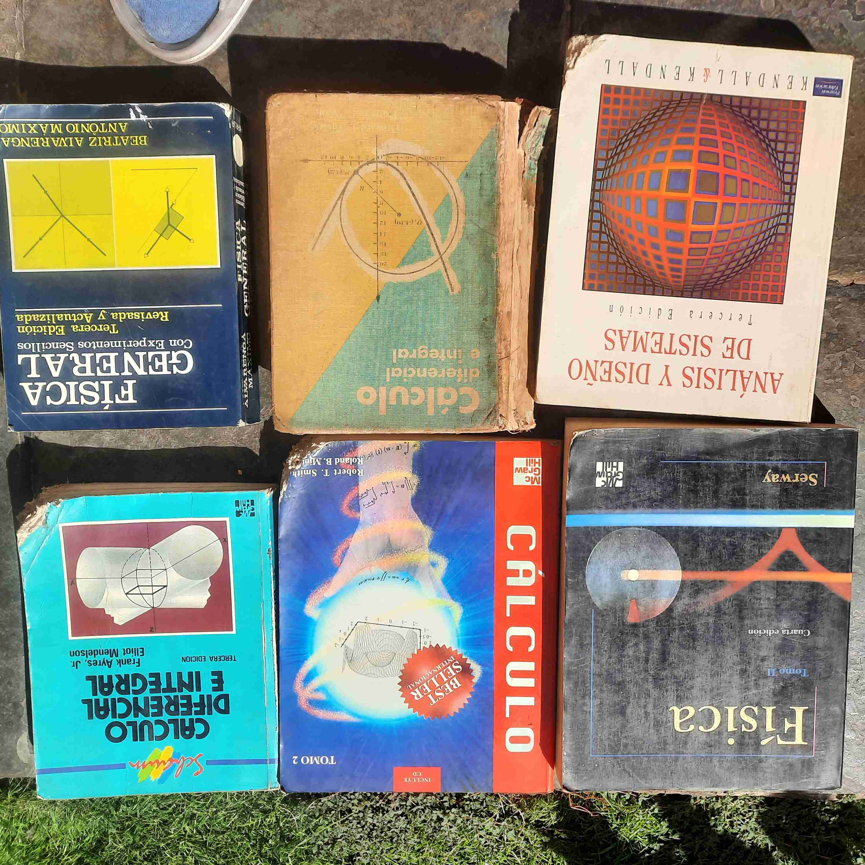 Lote de libros de cálculo y física