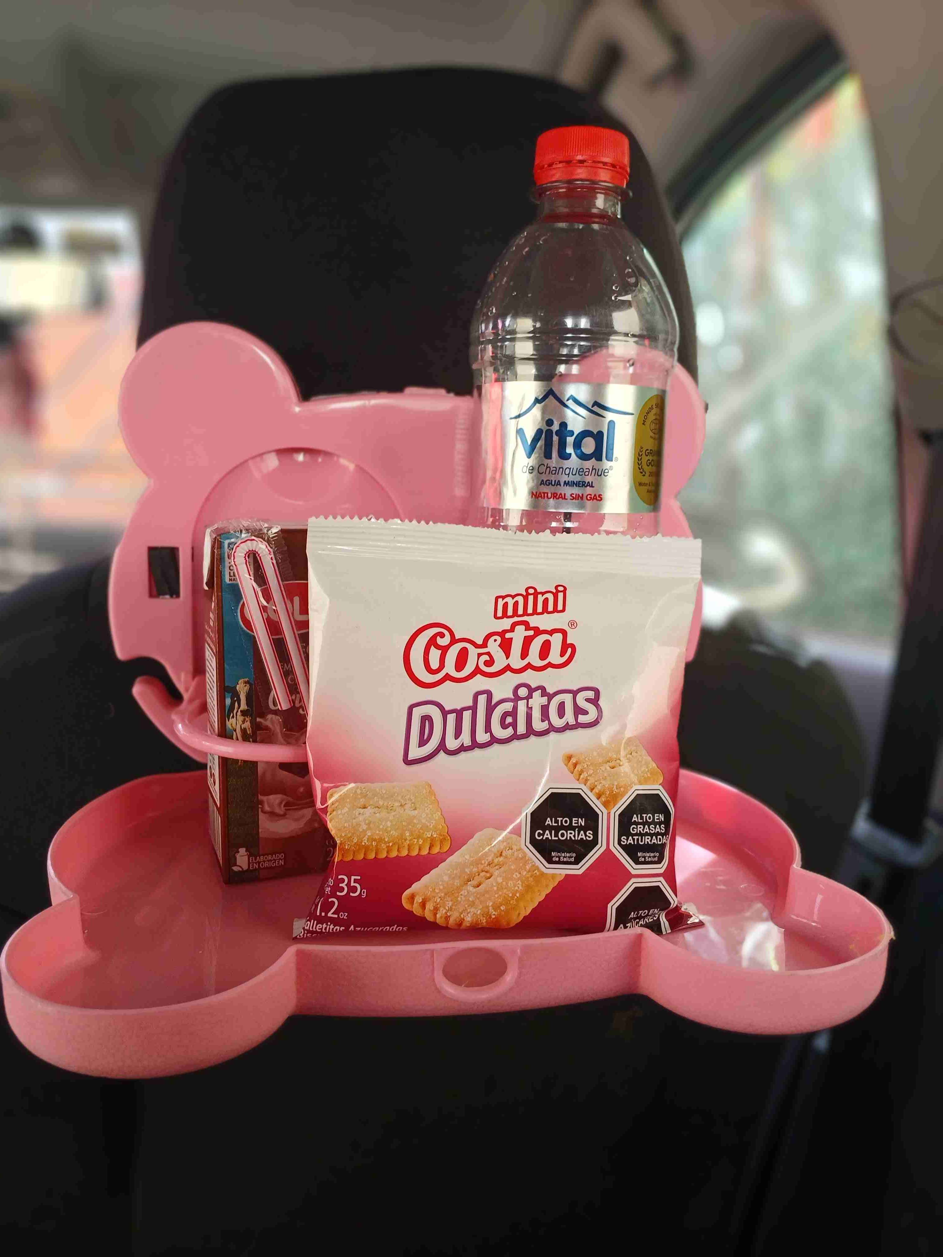 Bandeja colgante para auto