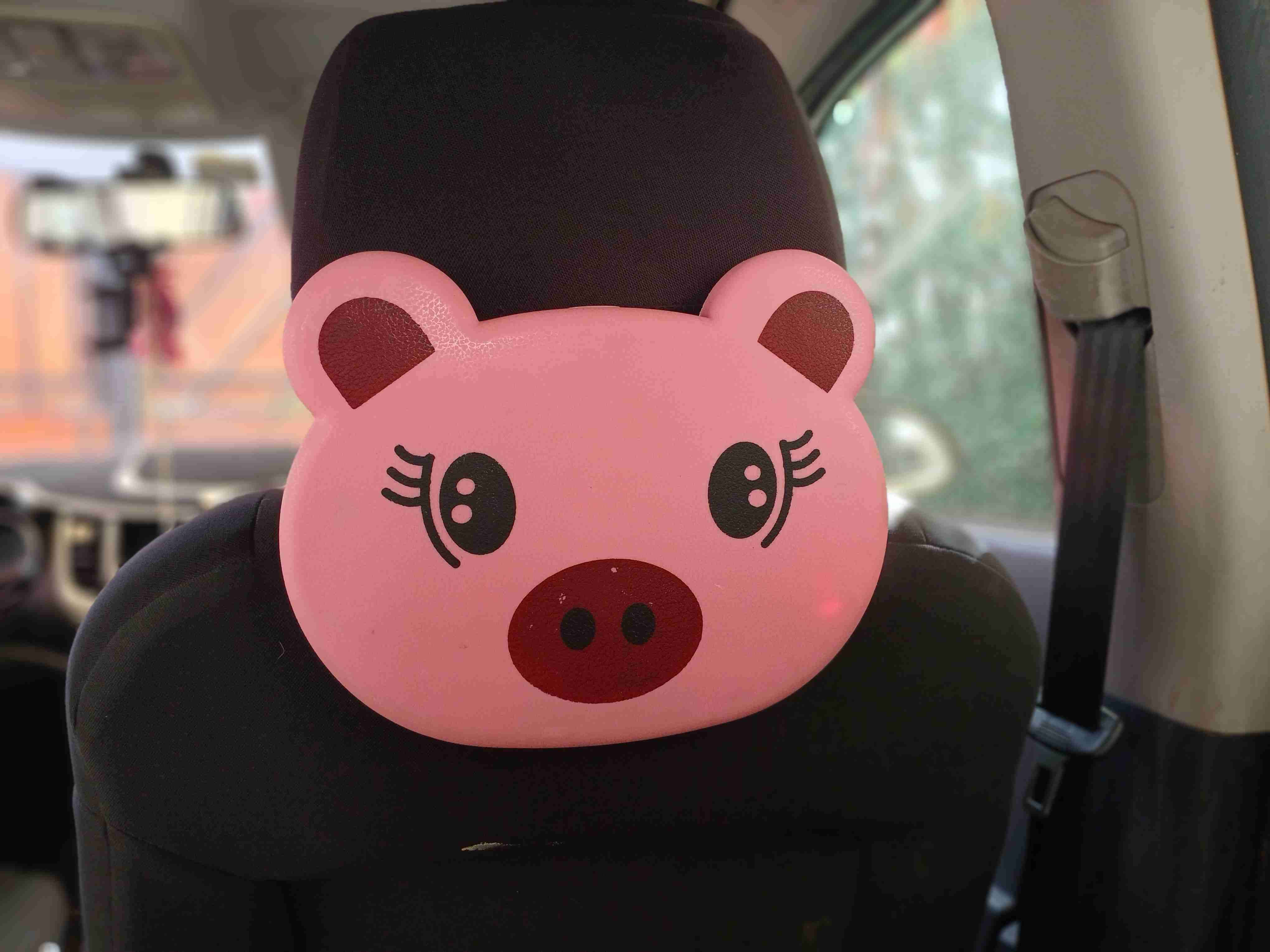 Bandeja colgante para auto - miniatura 6