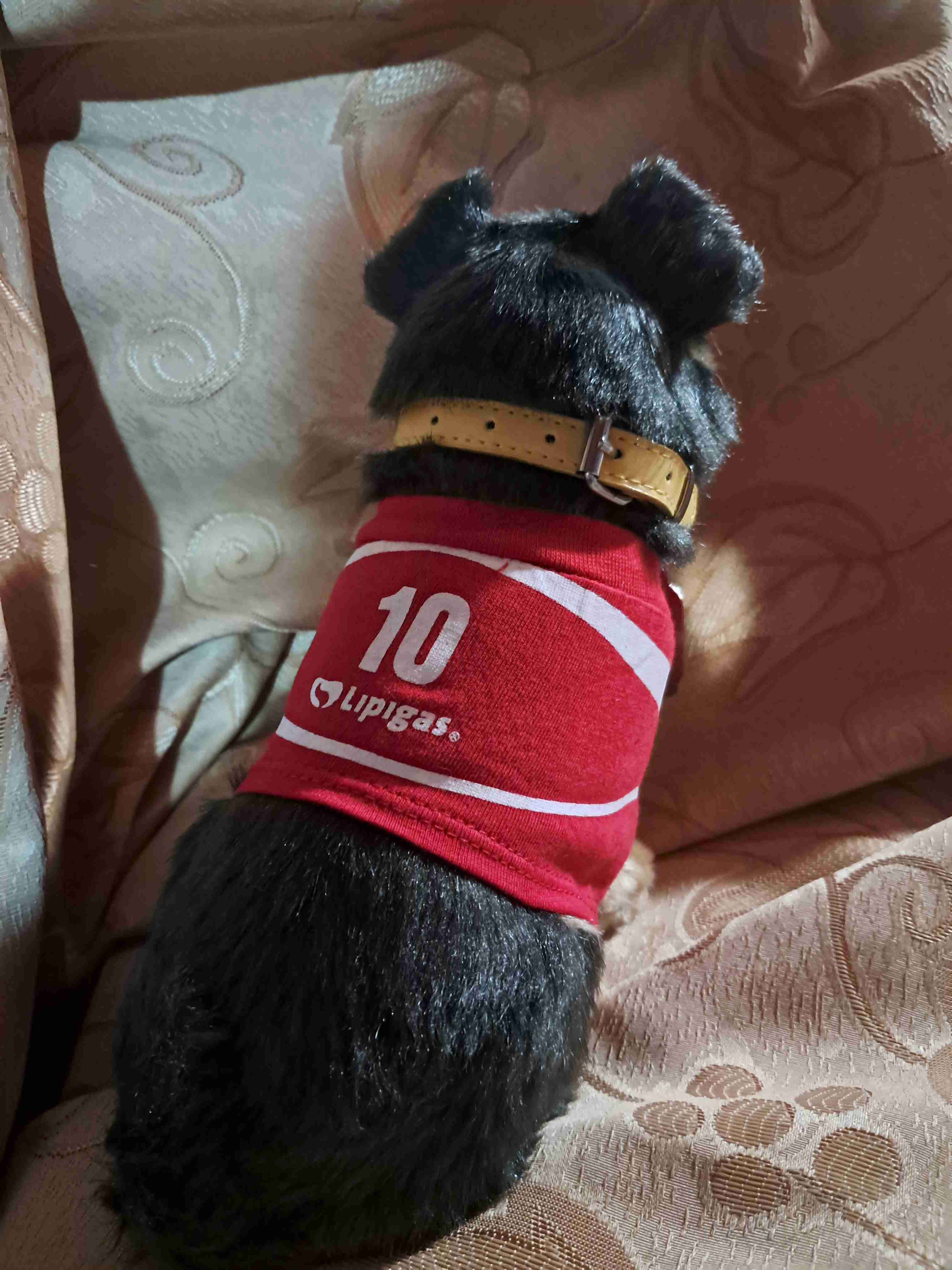 Perro de peluche Lipigas con etiqueta - miniatura 2