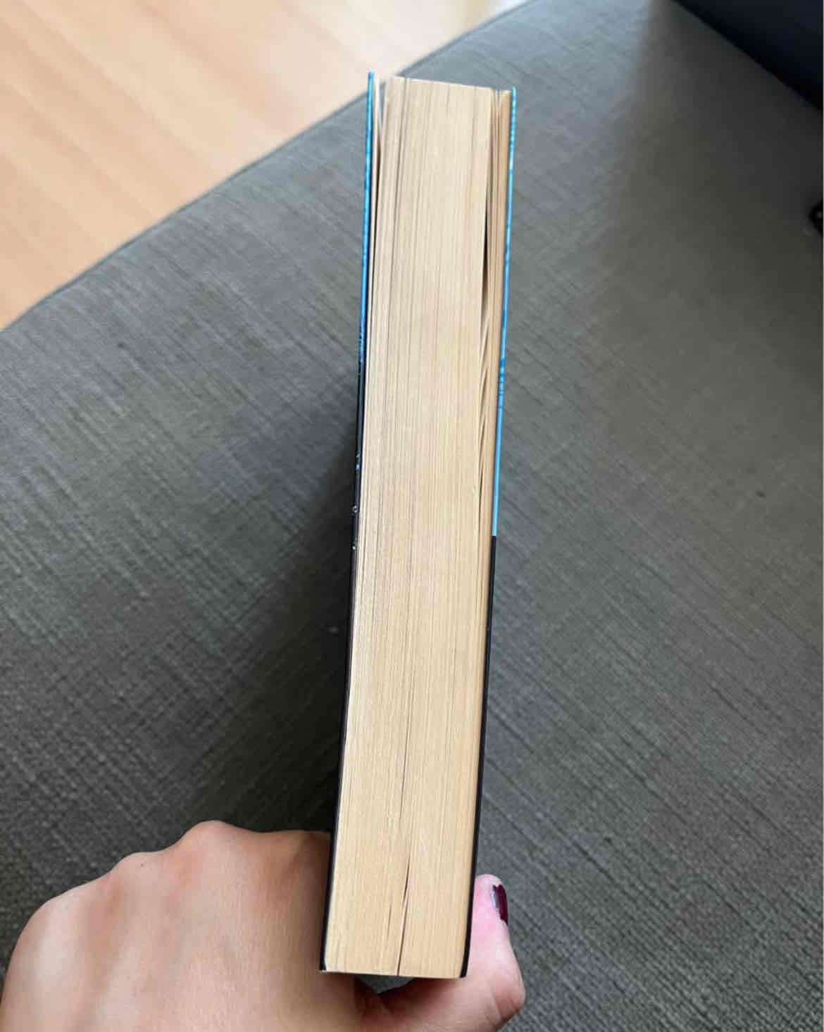 Libro Aristóteles y Dante se sumergen - miniatura 3