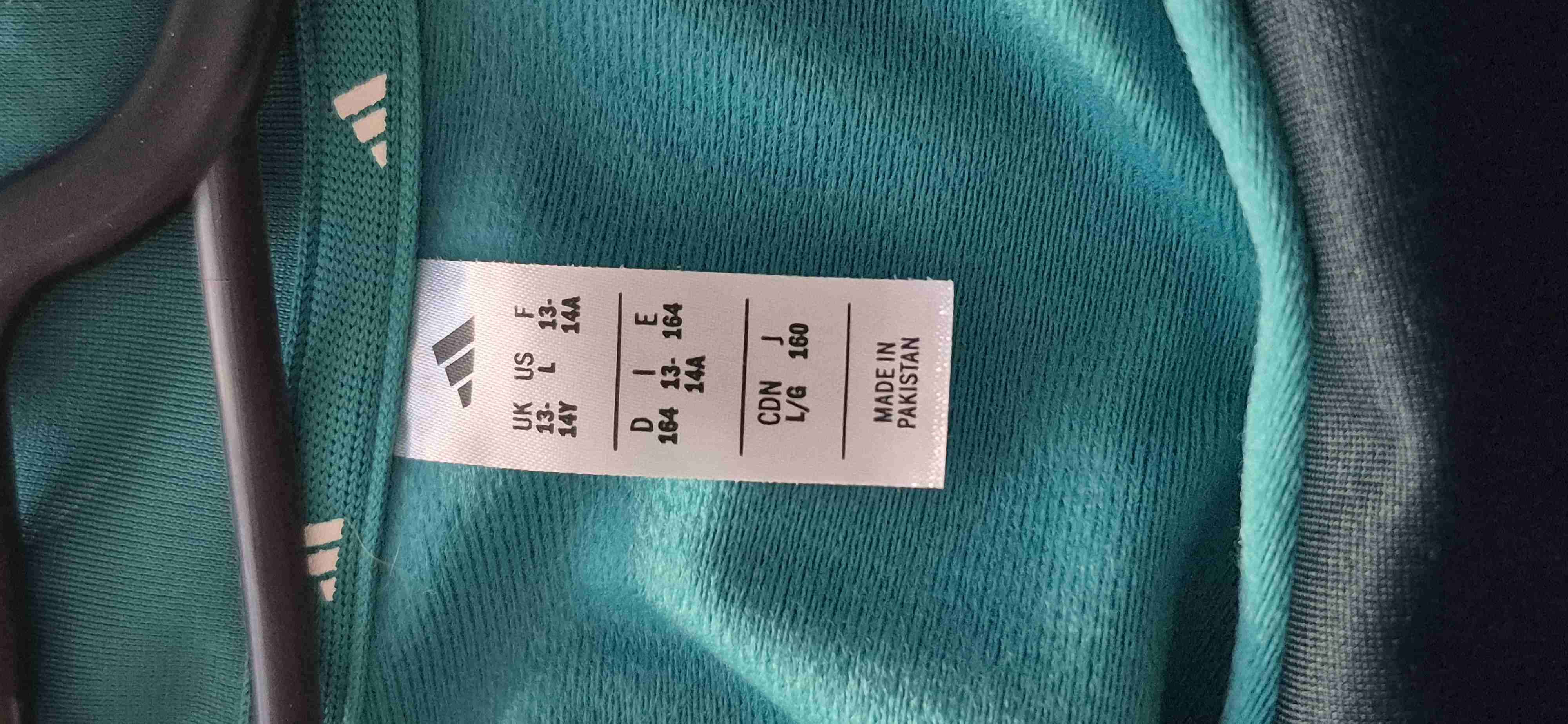 Chaqueta deportiva verde - miniatura 2