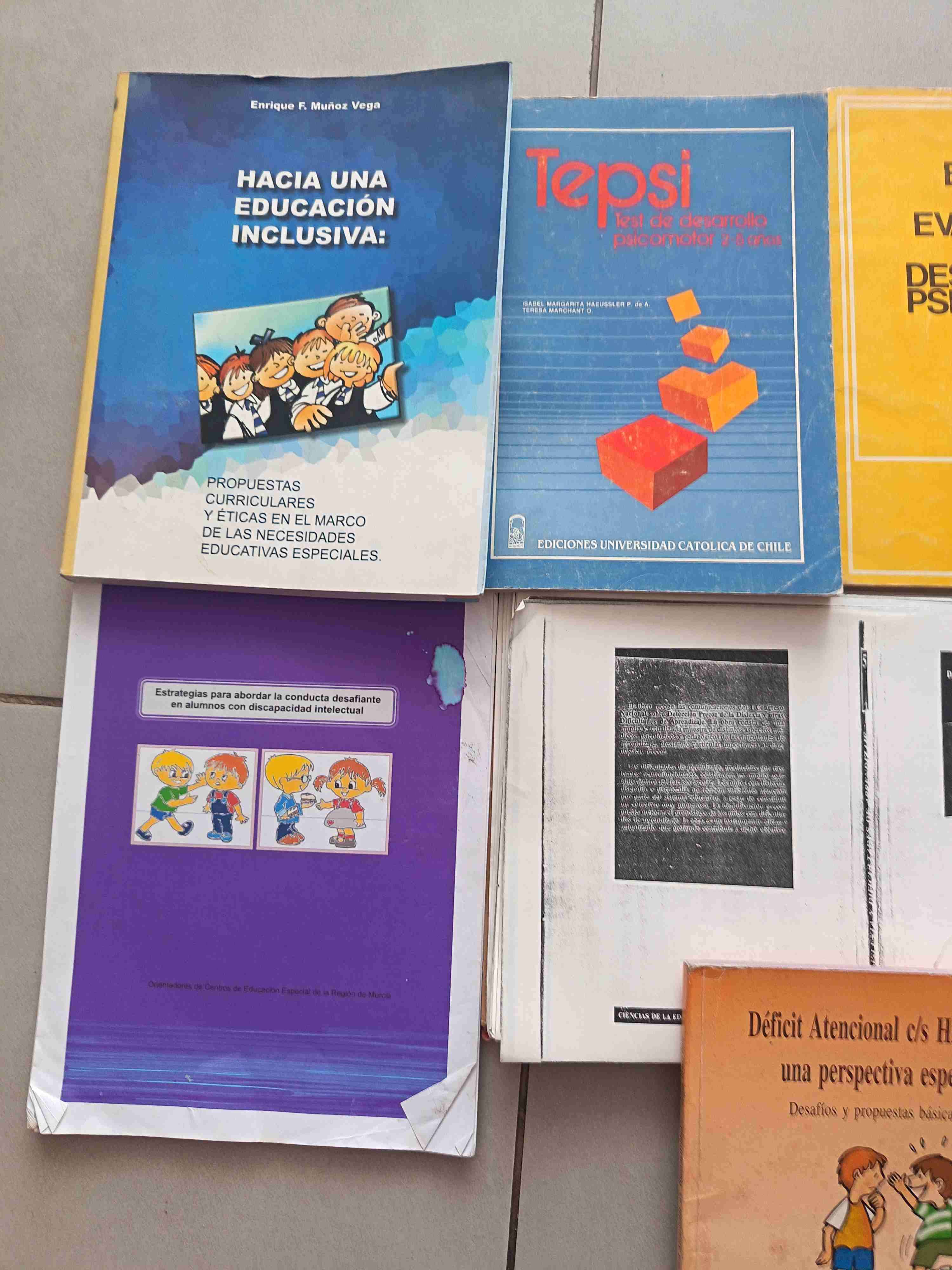 Lote de libros de pedagogía