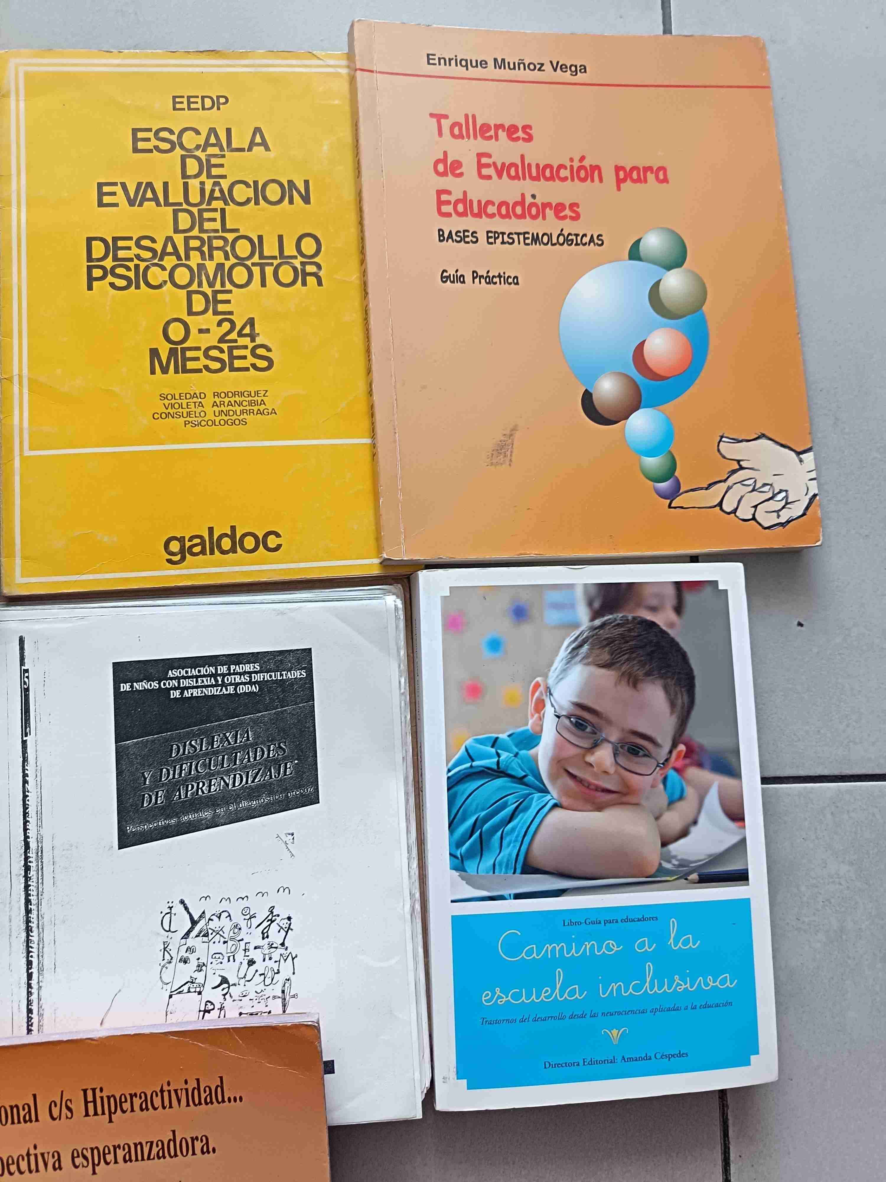 Lote de libros de pedagogía - 2