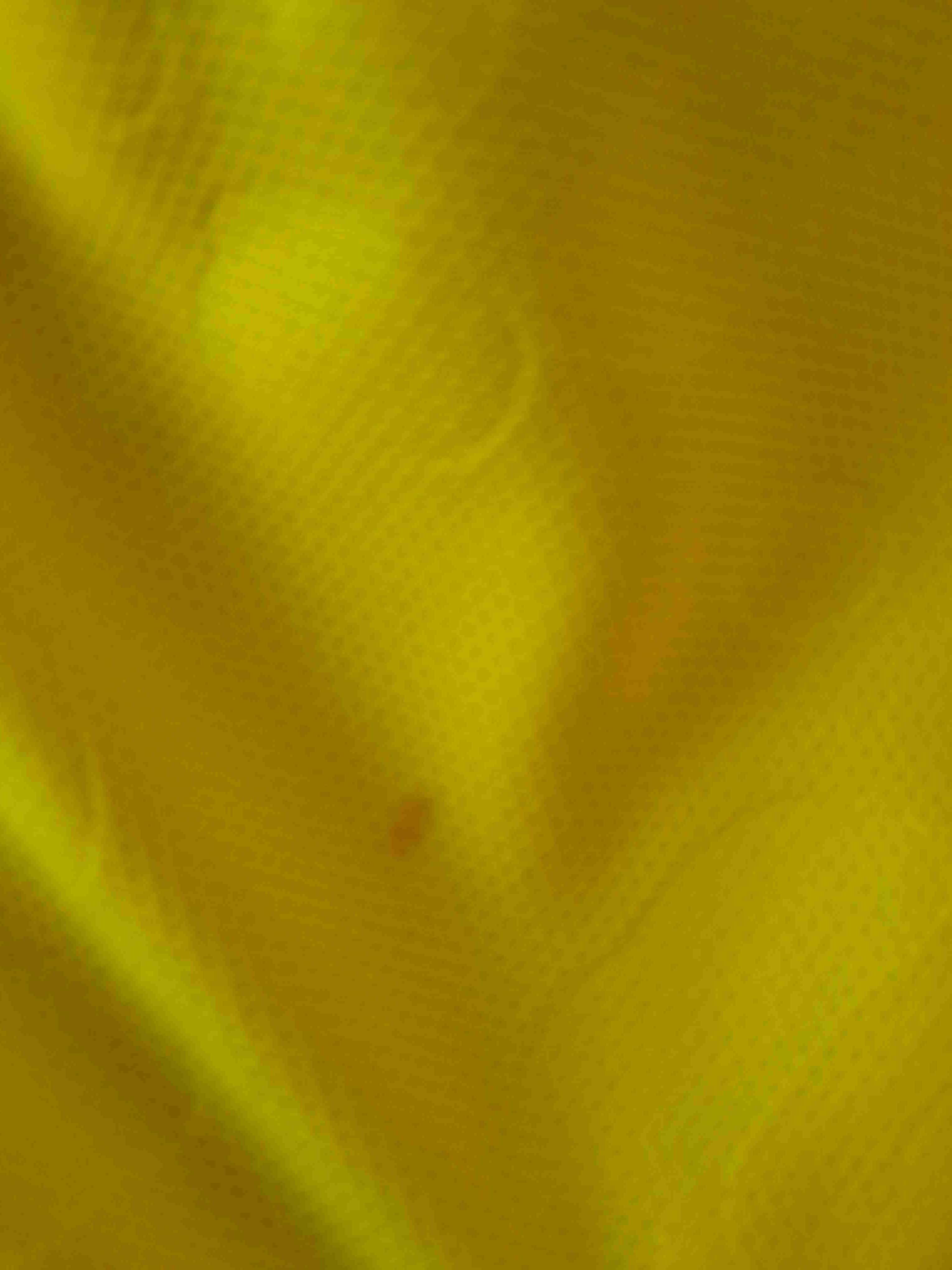 Camiseta amarilla Brasil Nike 23/24 - 6