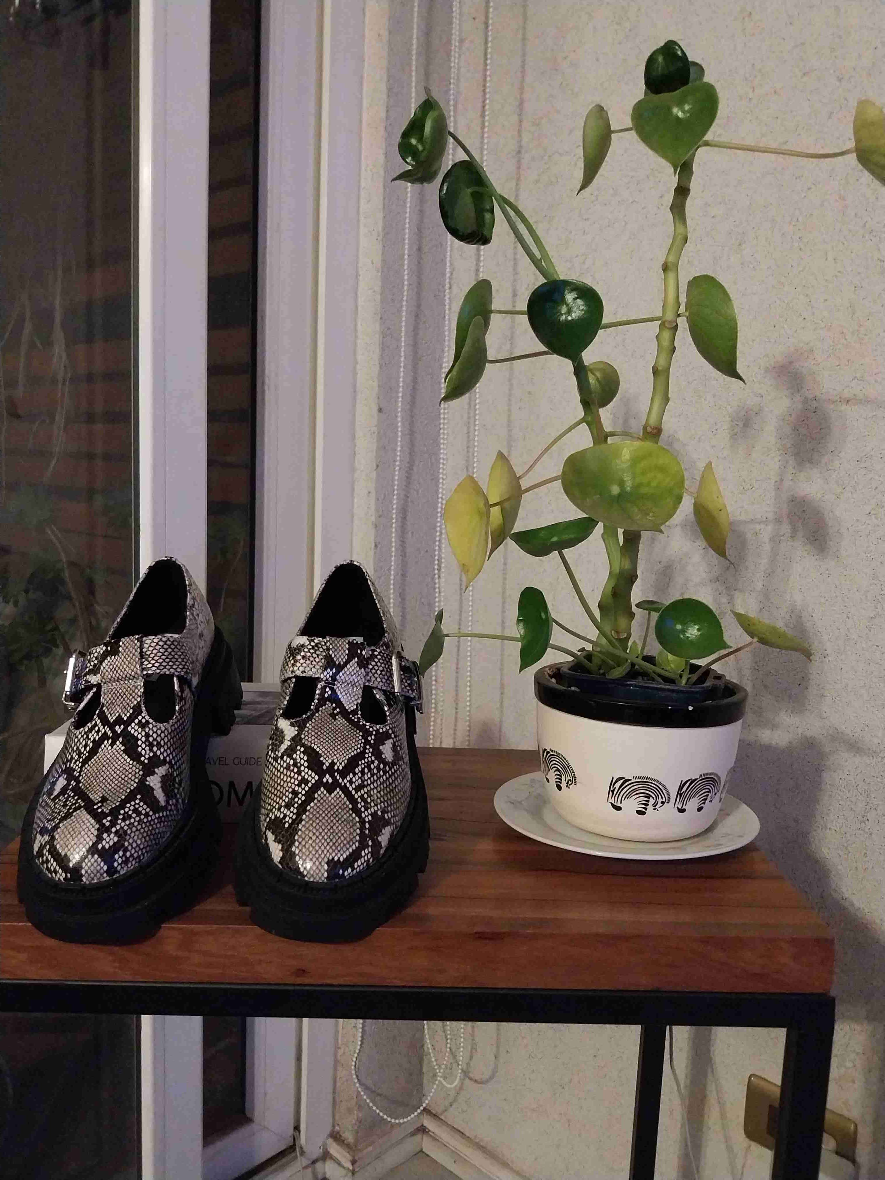 Zapatos con diseño de serpiente