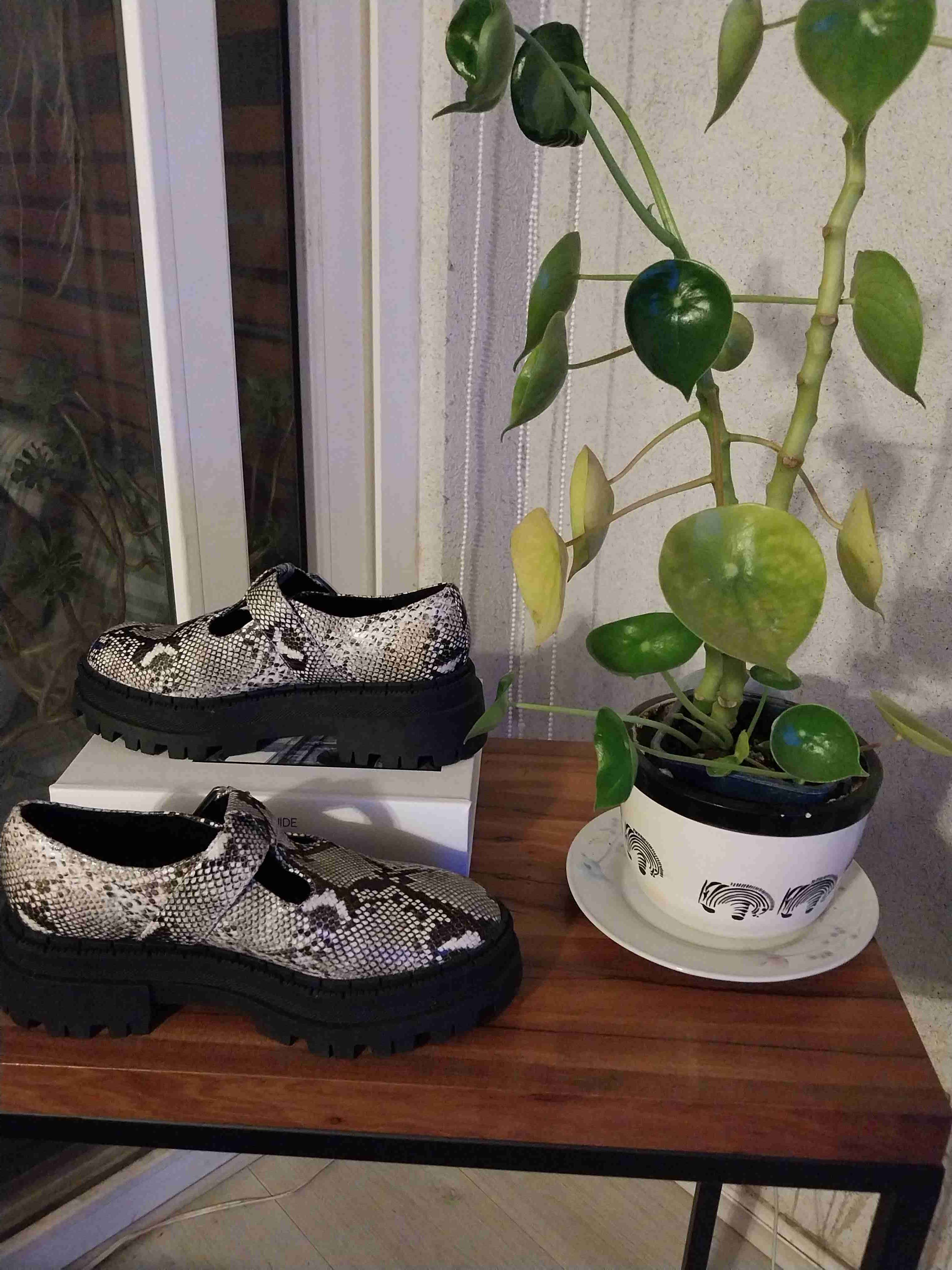 Zapatos con diseño de serpiente - miniatura 3