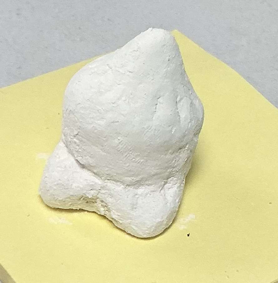 Cascarilla - miniatura 3