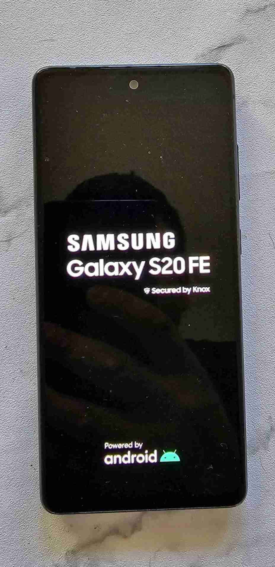 Samsung Galaxy S20 FE usado