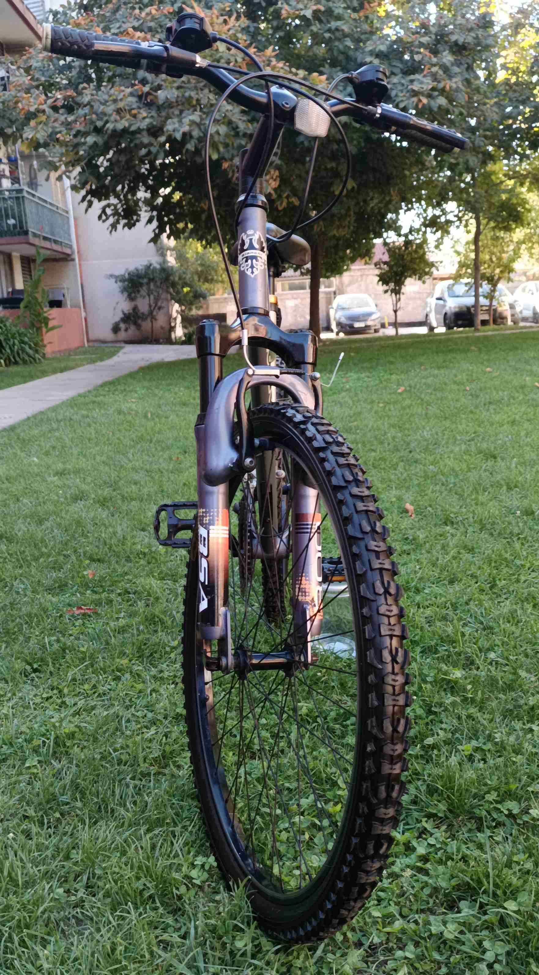 Bicicleta Bianchi montaña gris aro 26 - 3