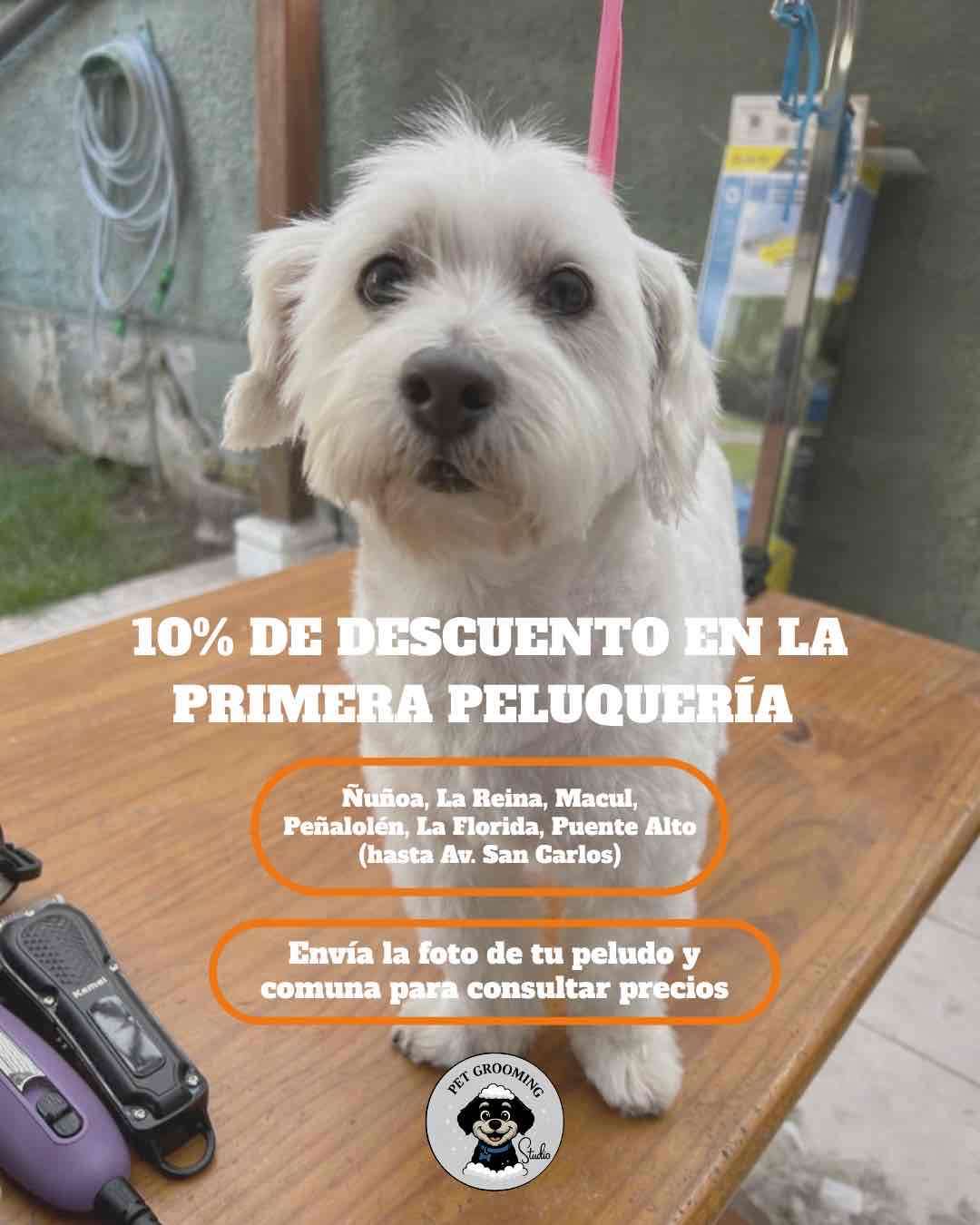 Peluquería Canina a Domicilio - miniatura 1