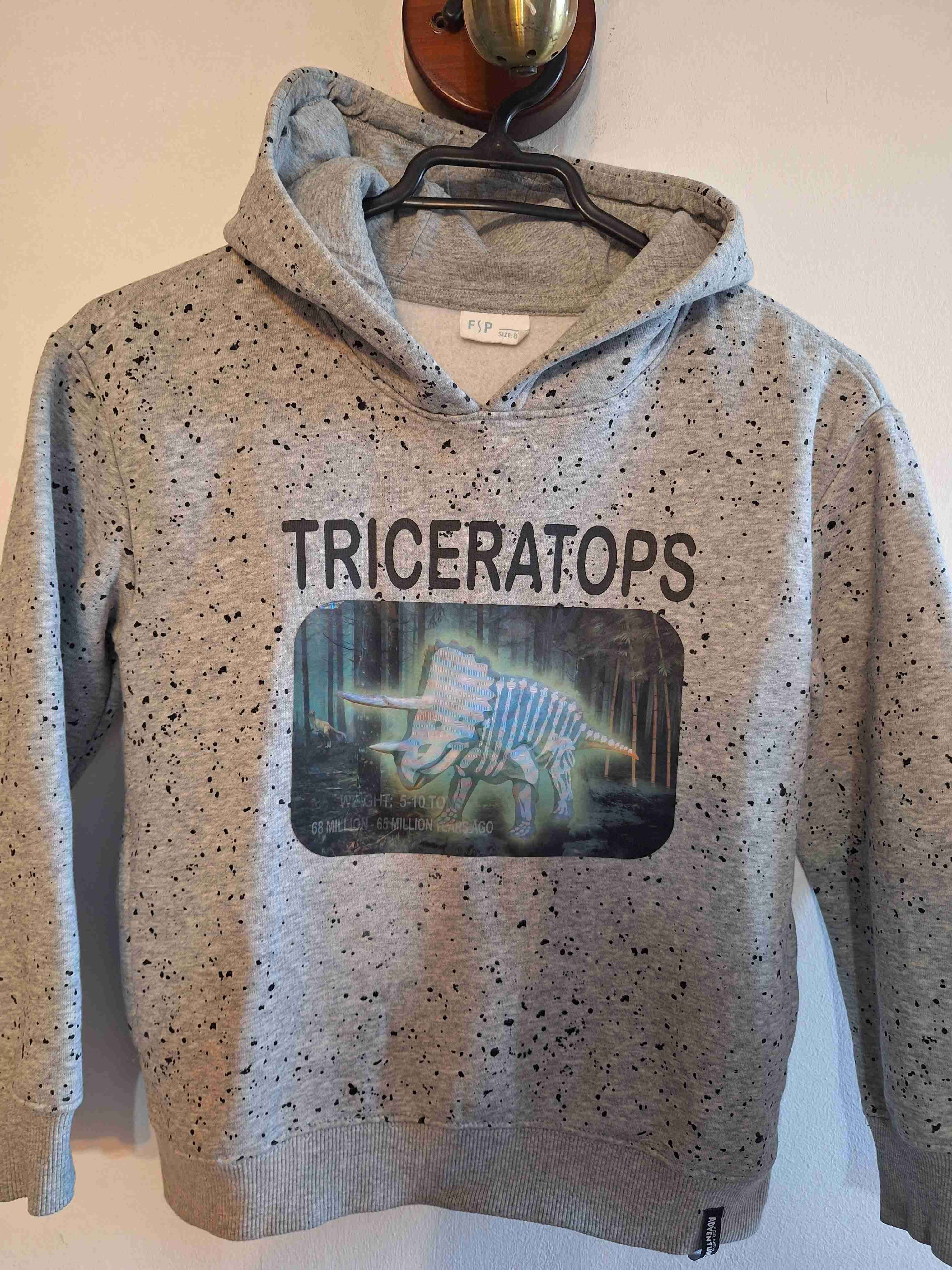 Polerón gris Triceratops para niño