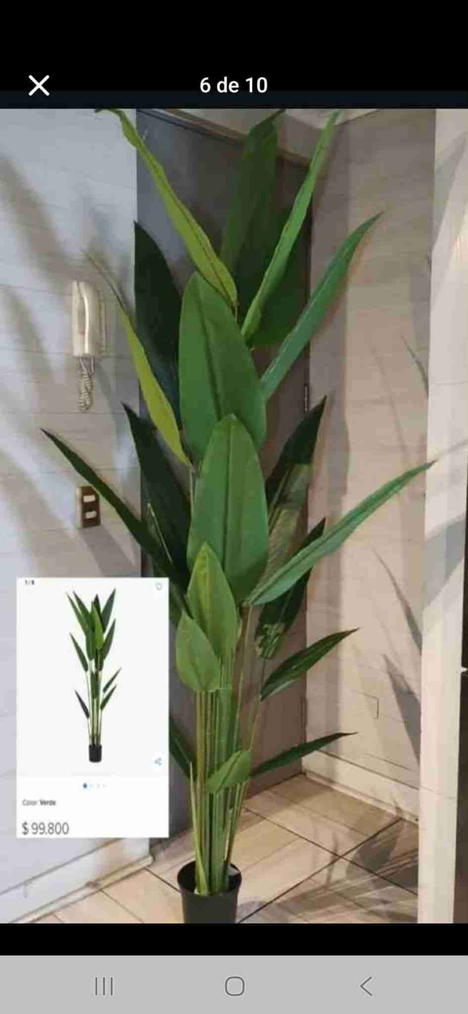 Plantas artificiales decorativas altas - miniatura 3