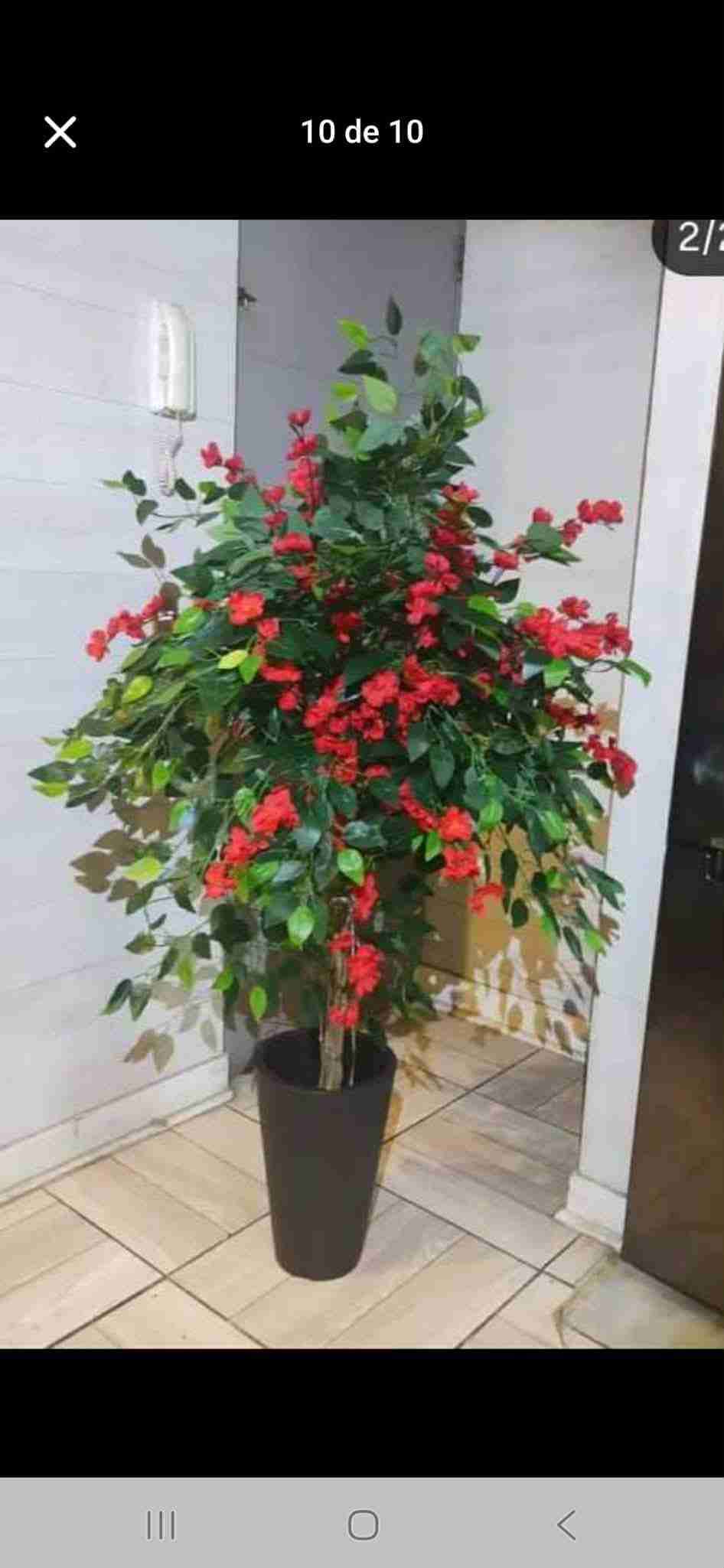 Plantas artificiales decorativas altas - miniatura 4