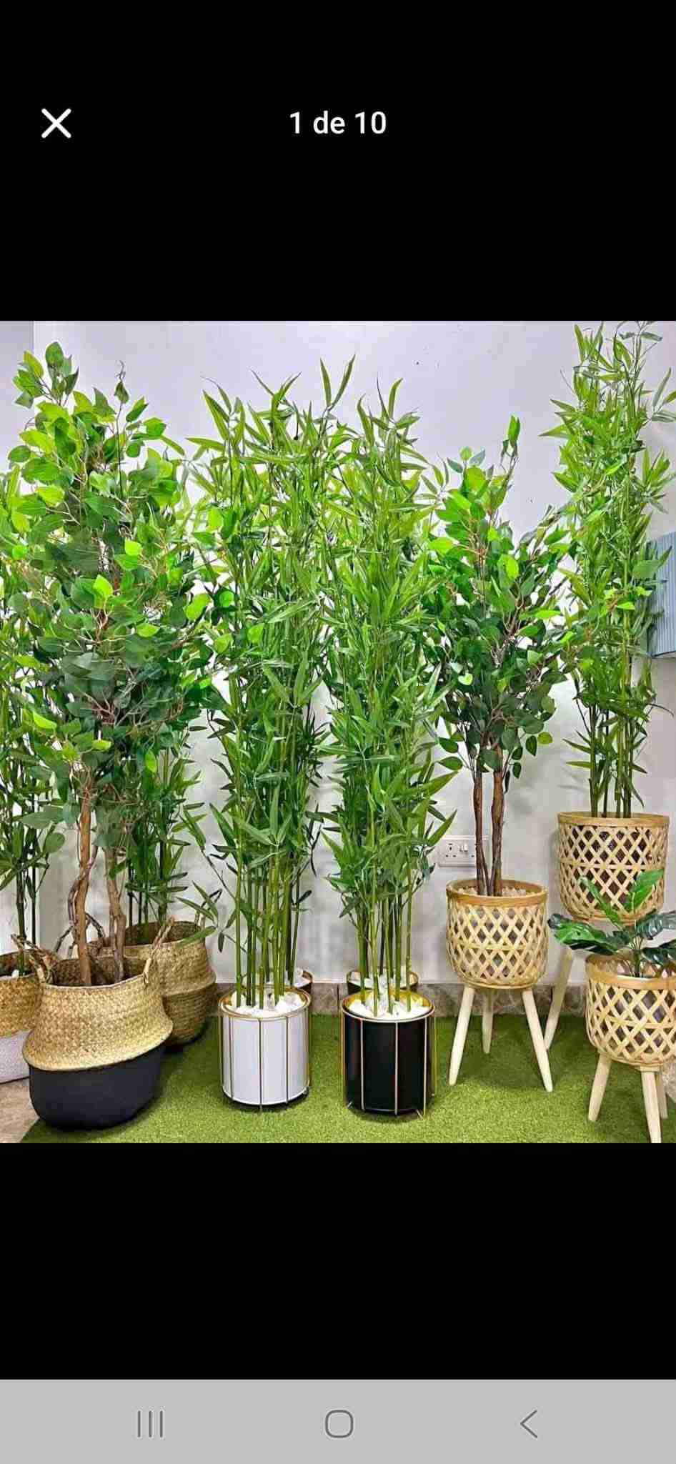 Plantas artificiales decorativas altas - miniatura 5