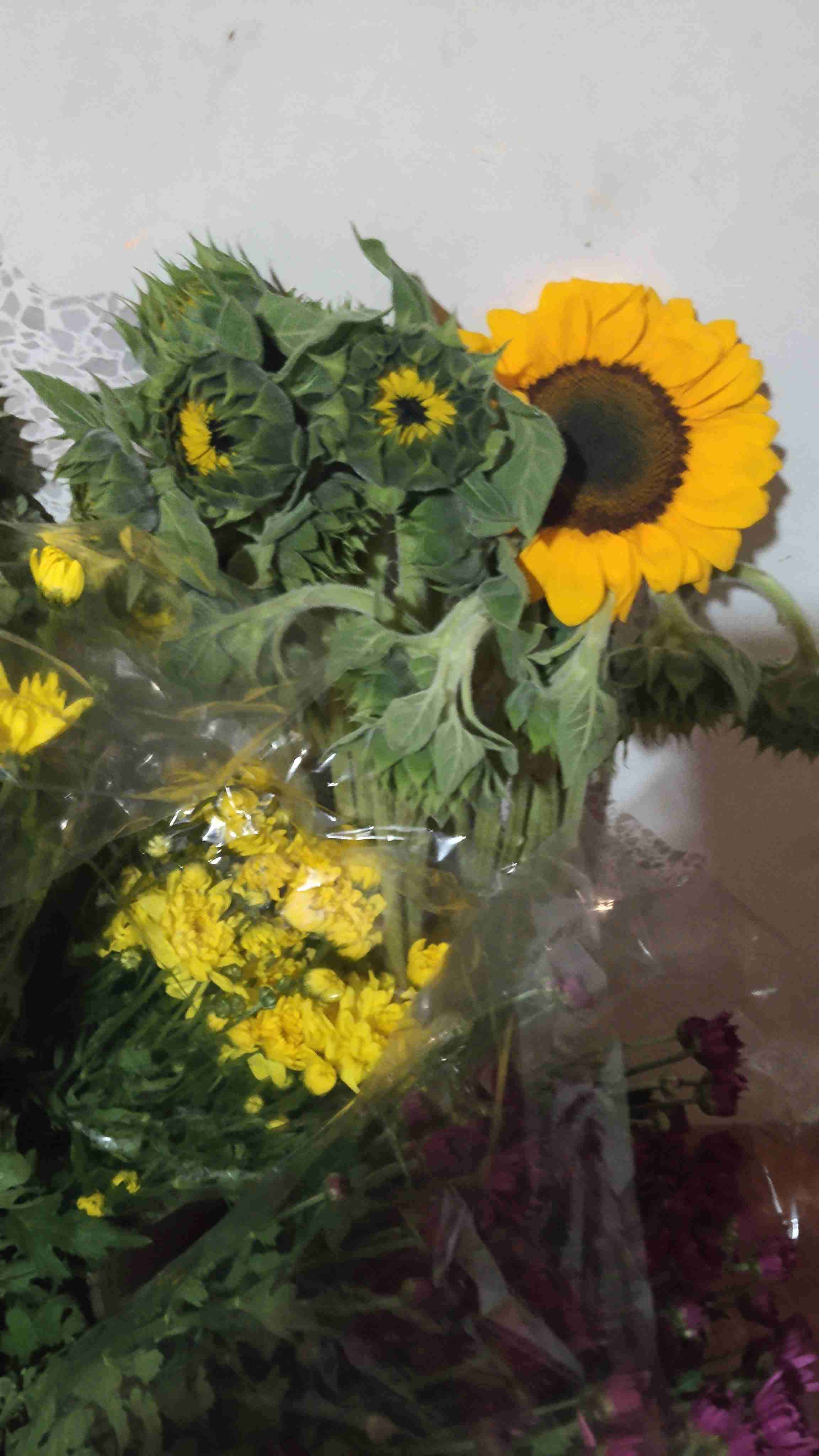 Ramos de girasoles frescos - miniatura 4