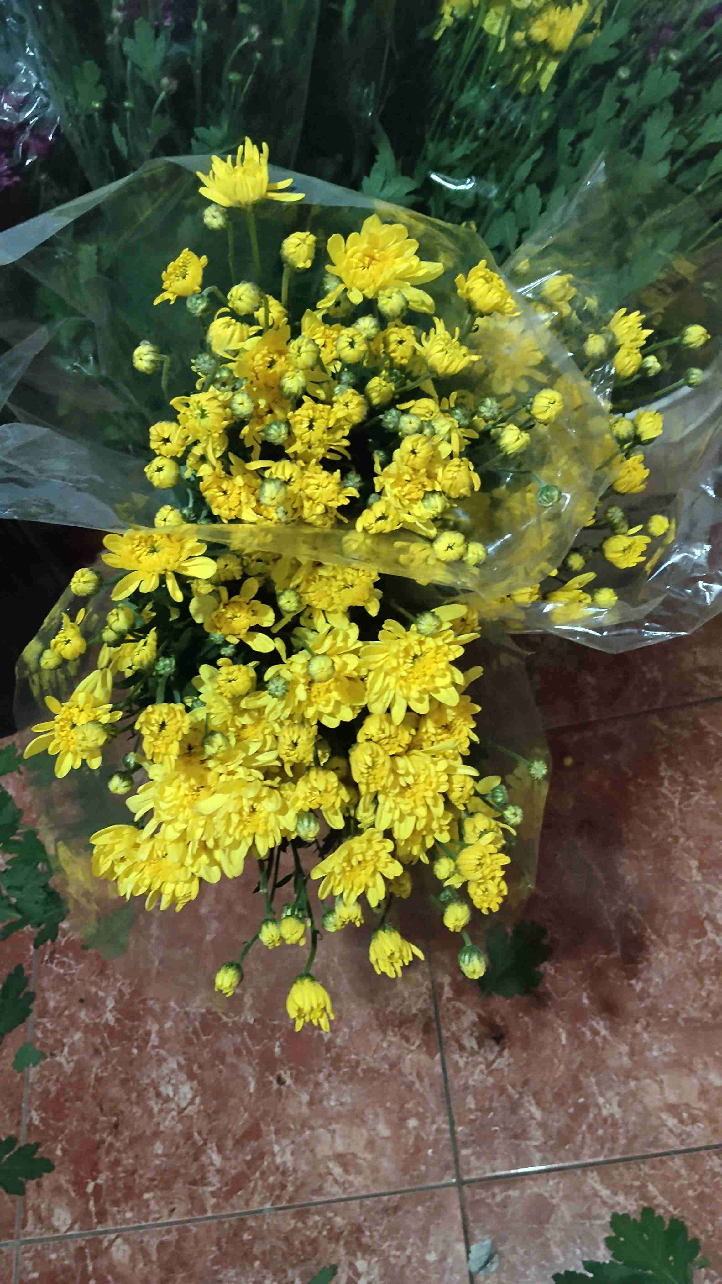 Ramos de girasoles frescos - miniatura 5