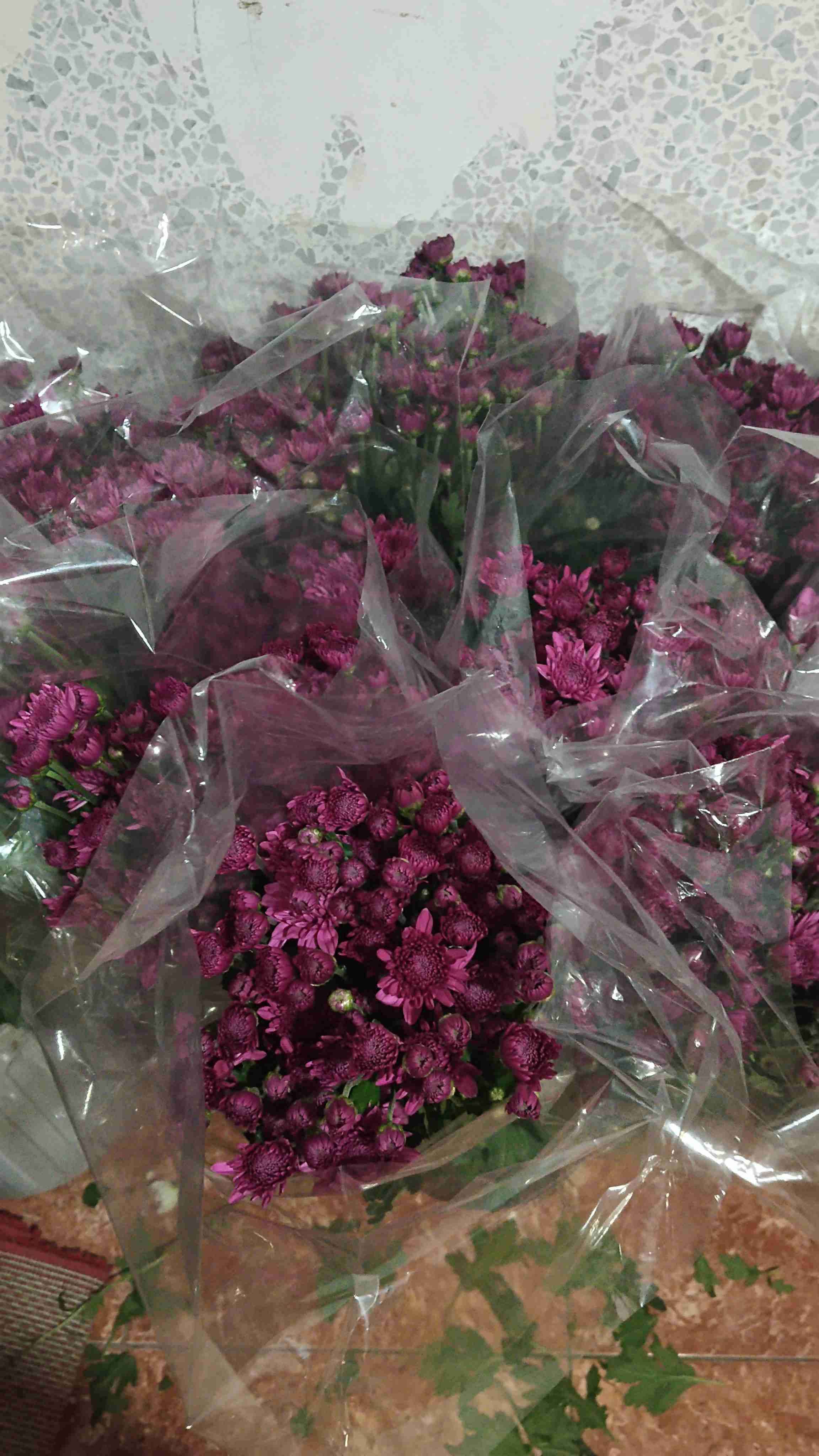 Ramos de girasoles frescos - miniatura 6