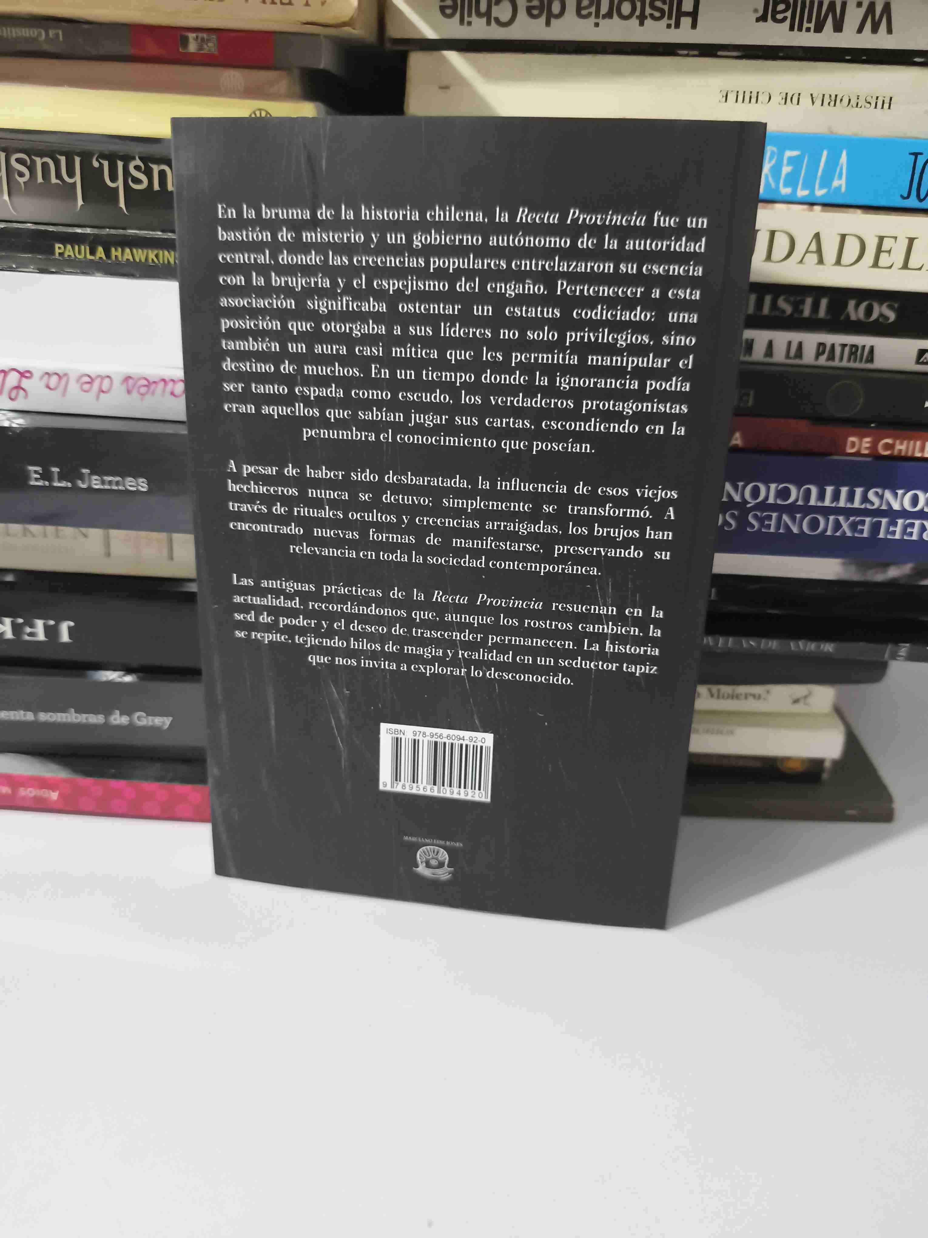 Libro La Recta Provincia - 4