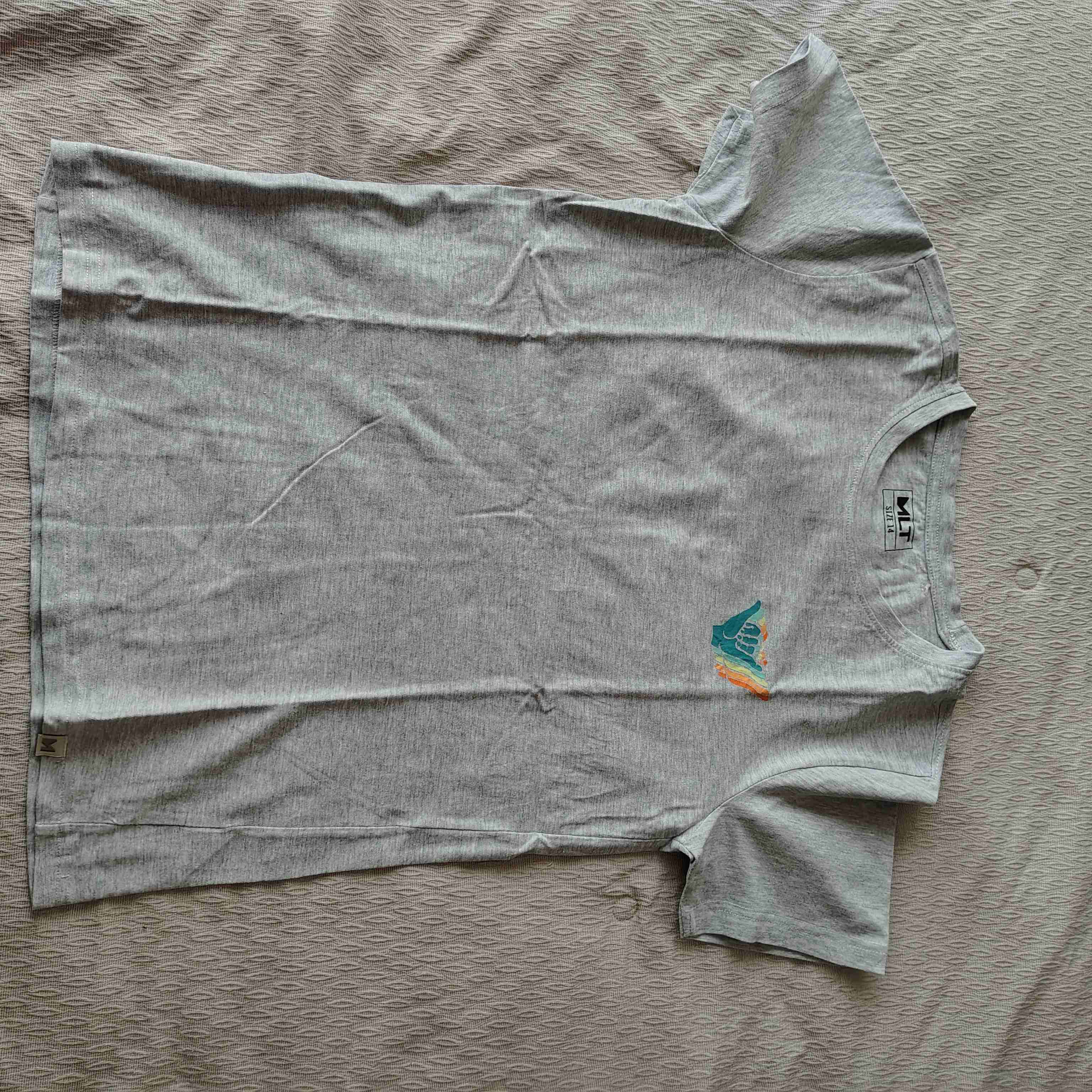 Polera gris con estampado - miniatura 1