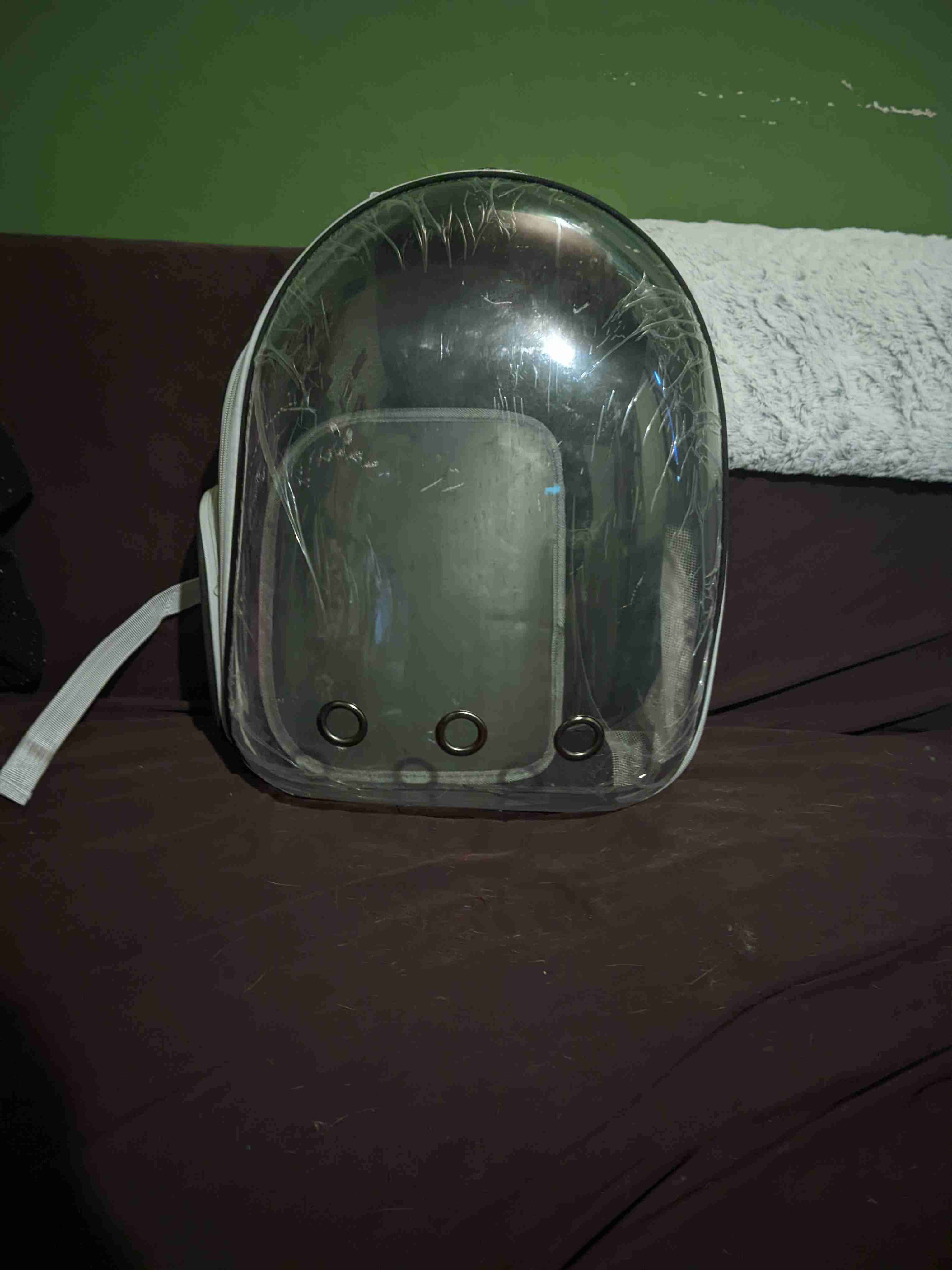 Transportín transparente de mascotas - 1