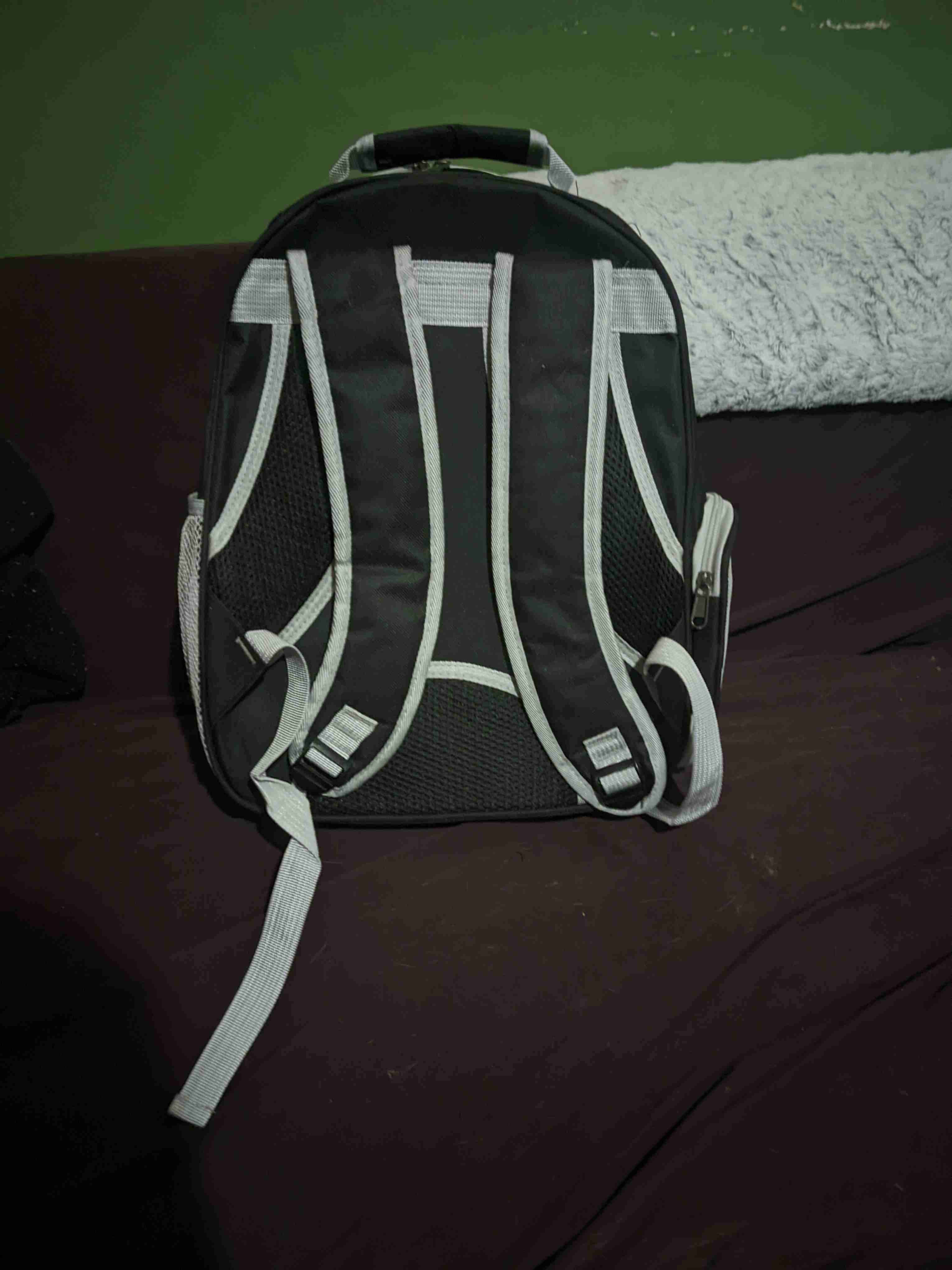 Transportín transparente de mascotas - 2