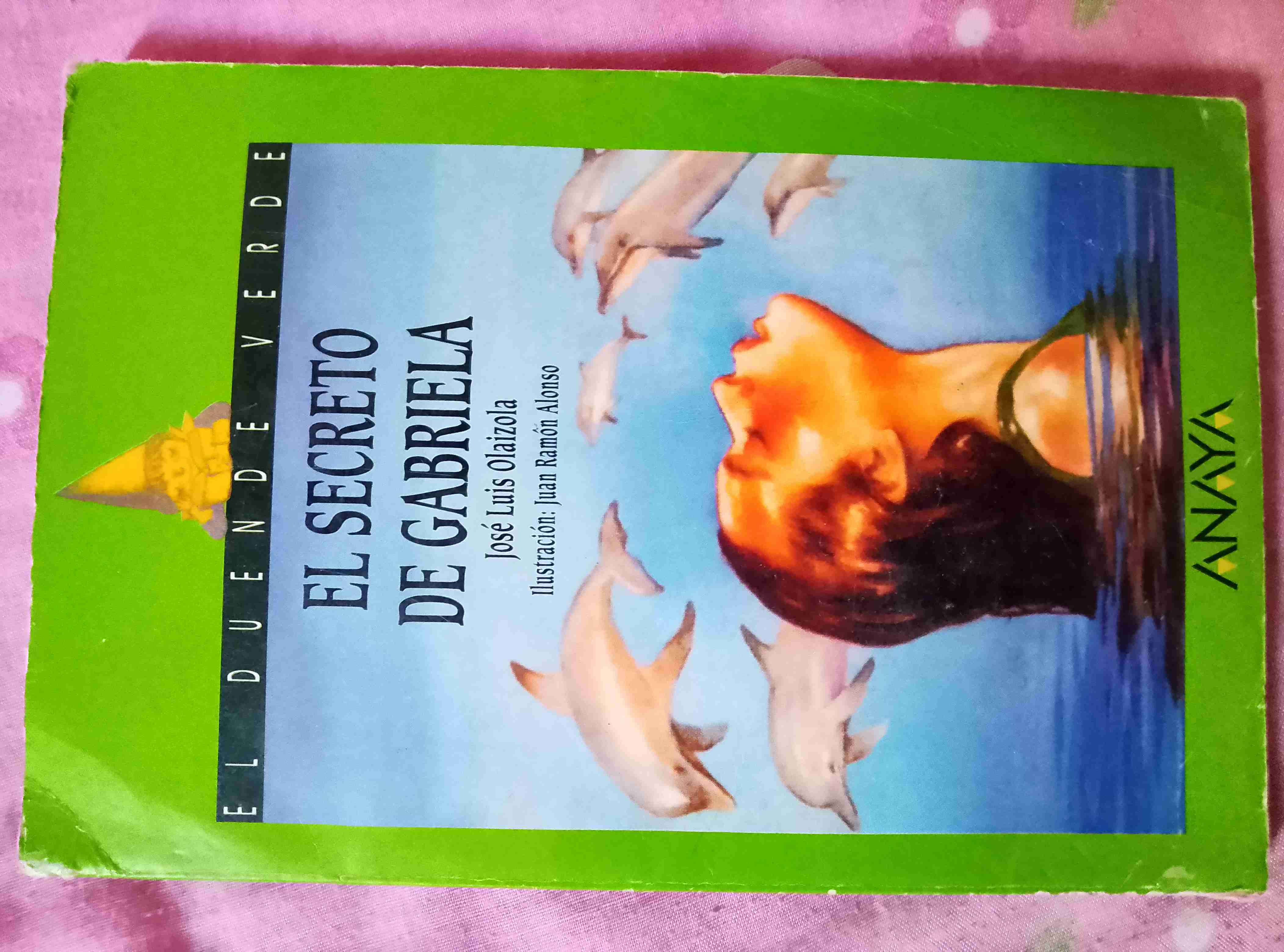 Libro El Secreto de Gabriela - 1