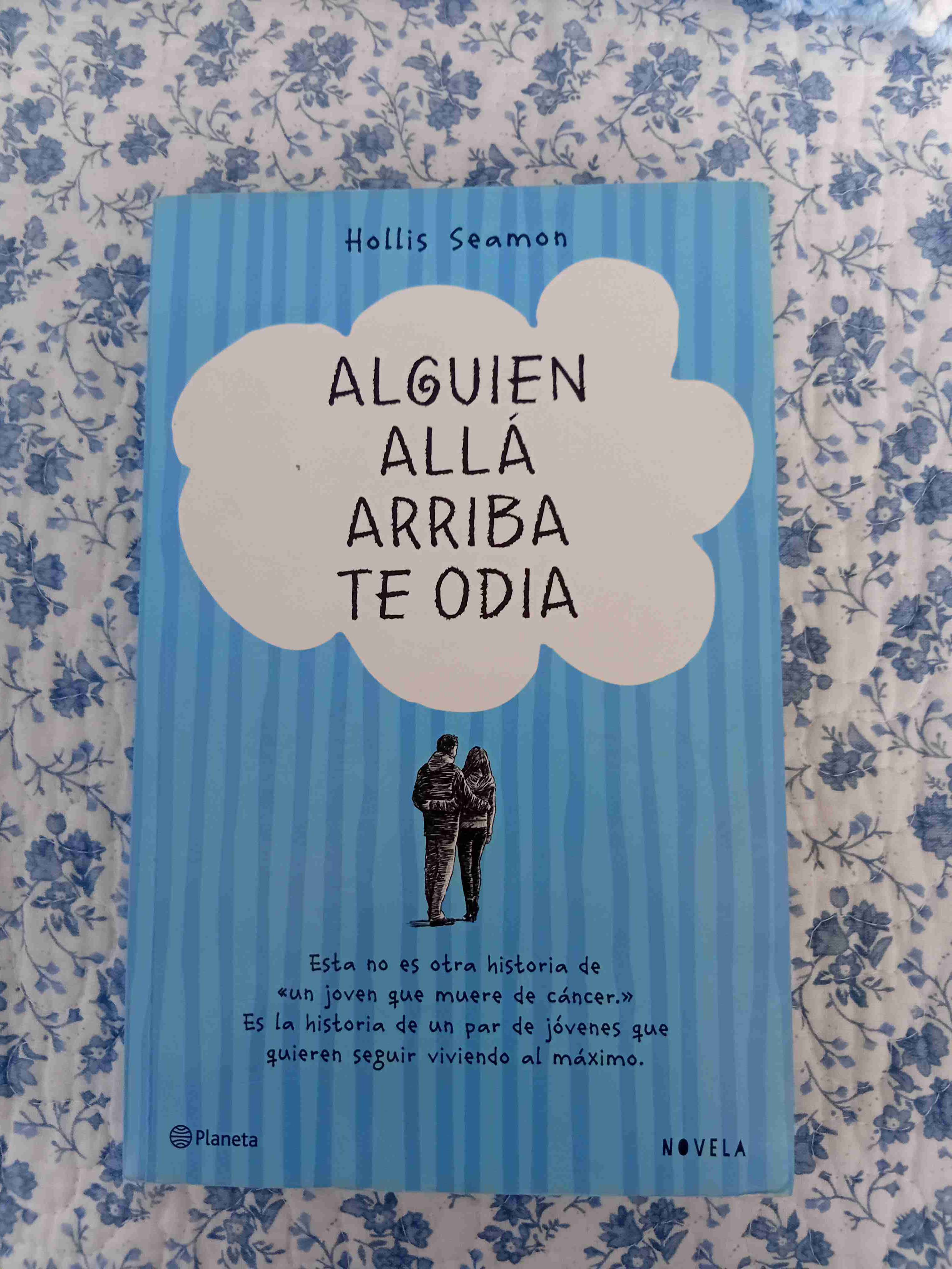 Alguien allá arriba te odia - Hollis Seamon - 1