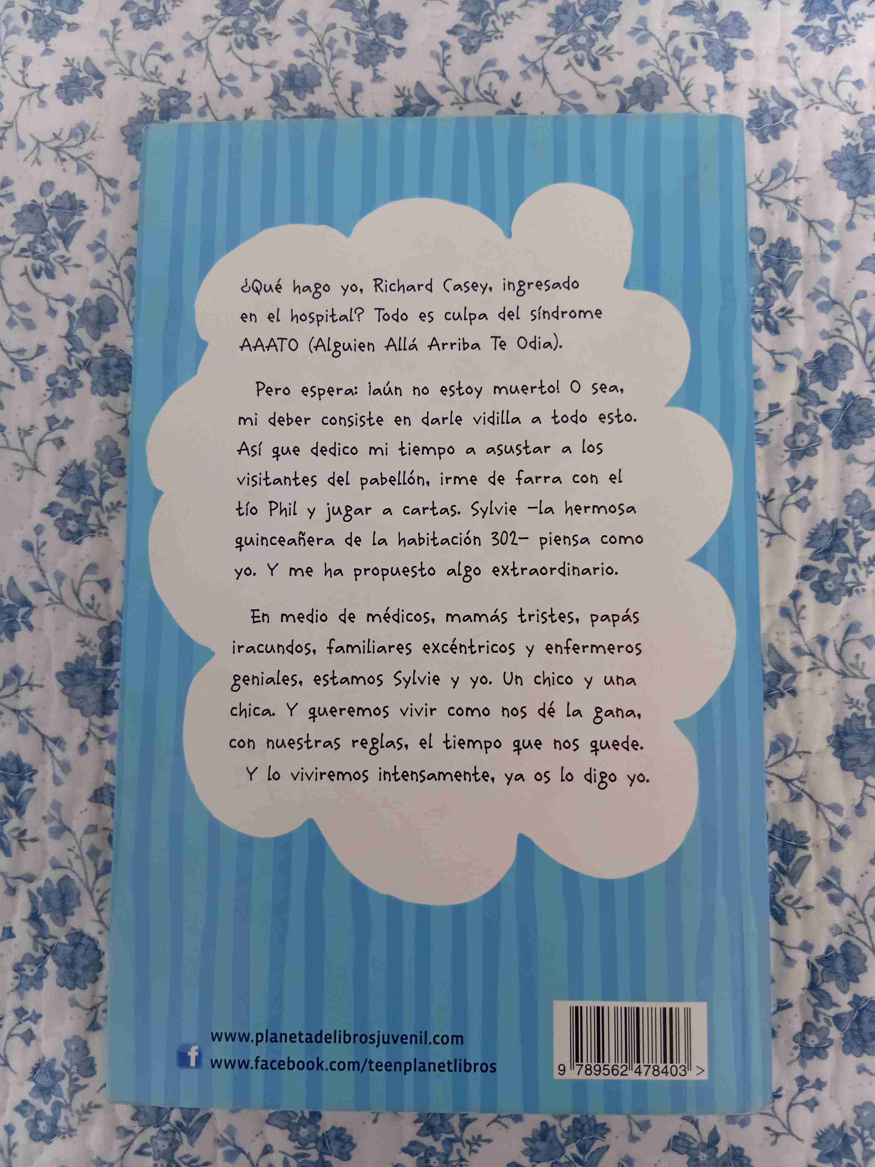 Alguien allá arriba te odia - Hollis Seamon - 2