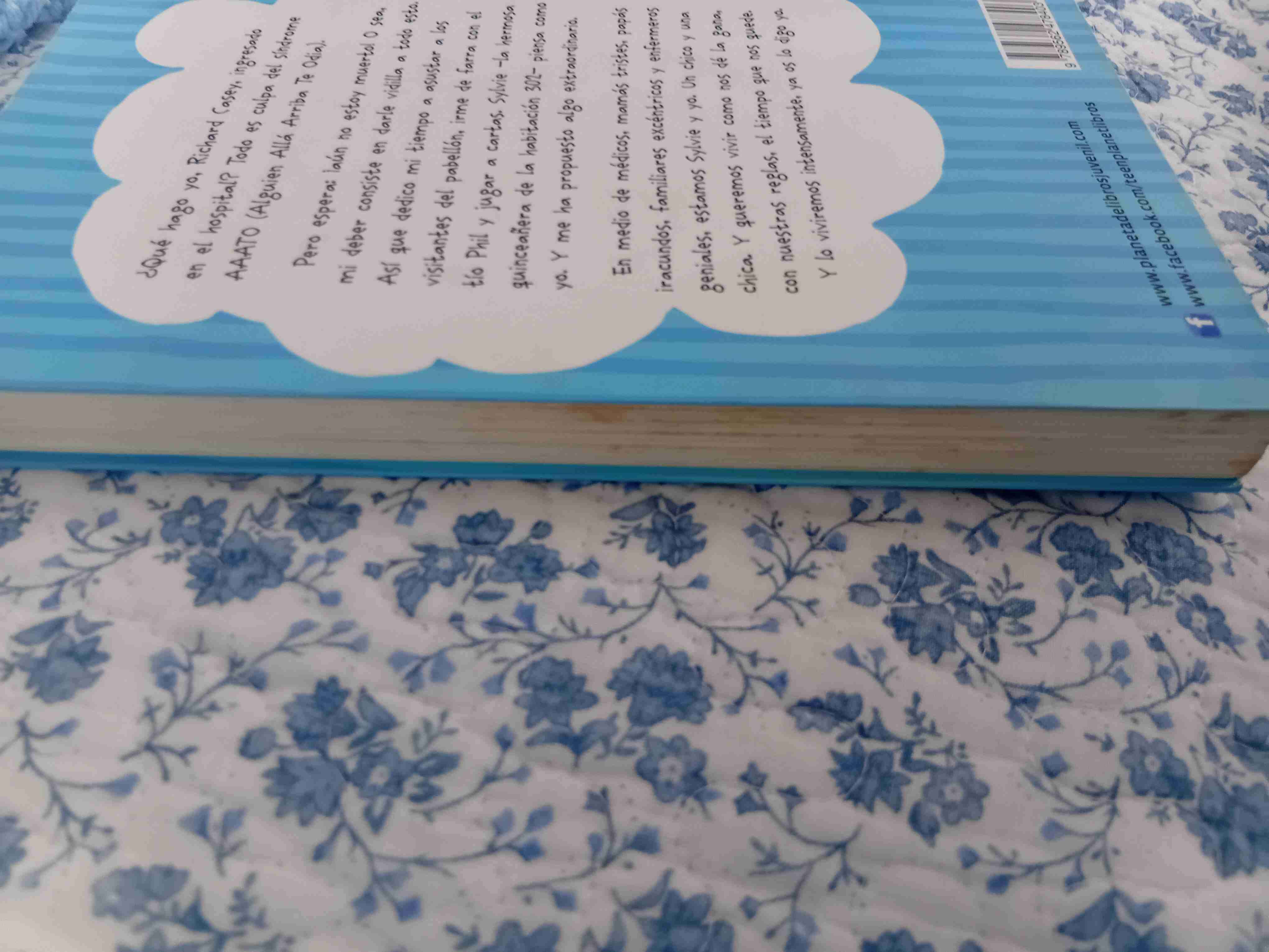 Alguien allá arriba te odia - Hollis Seamon - 3
