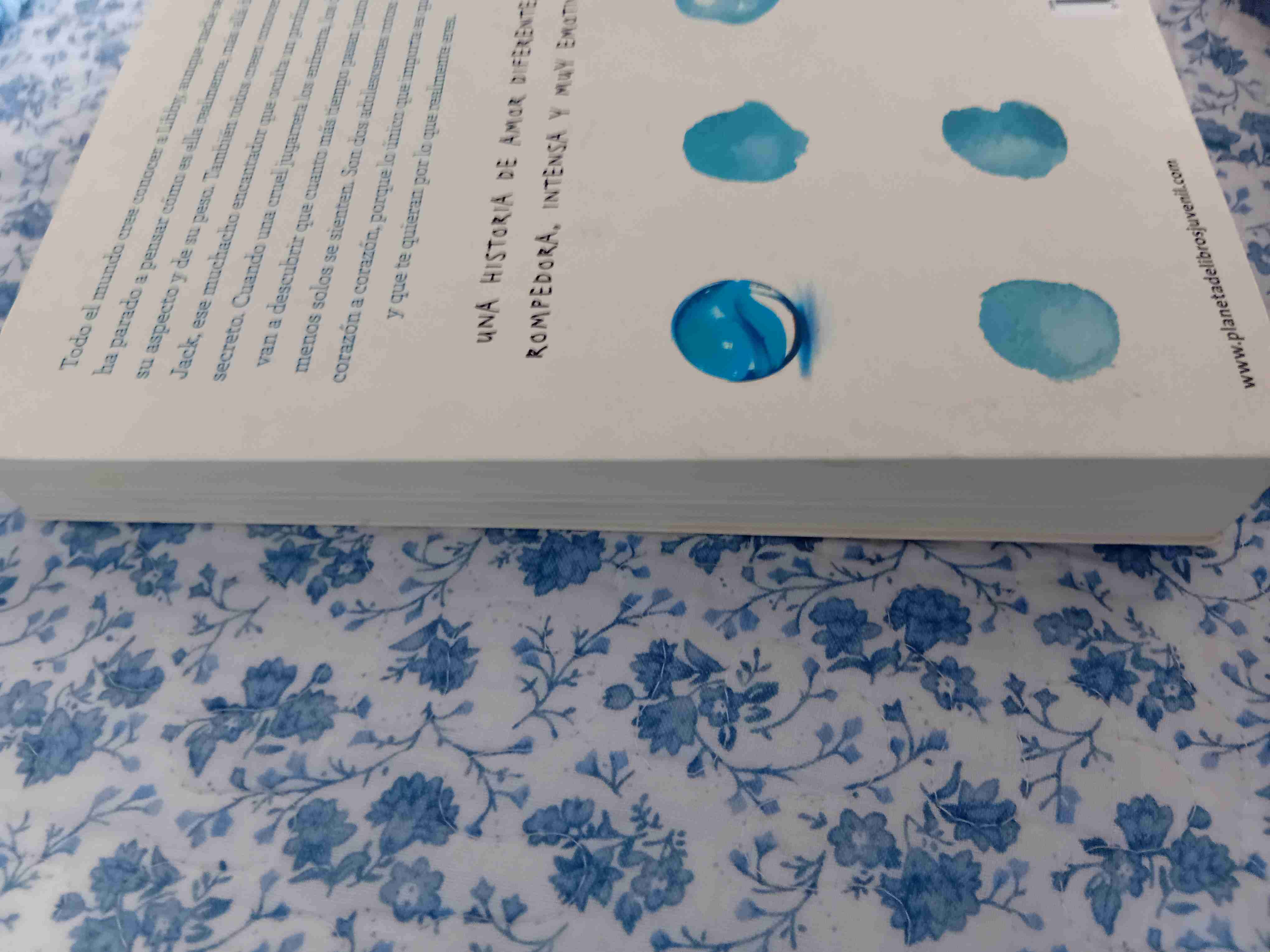 Aquí Empieza Todo -Jennifer Niven - 3