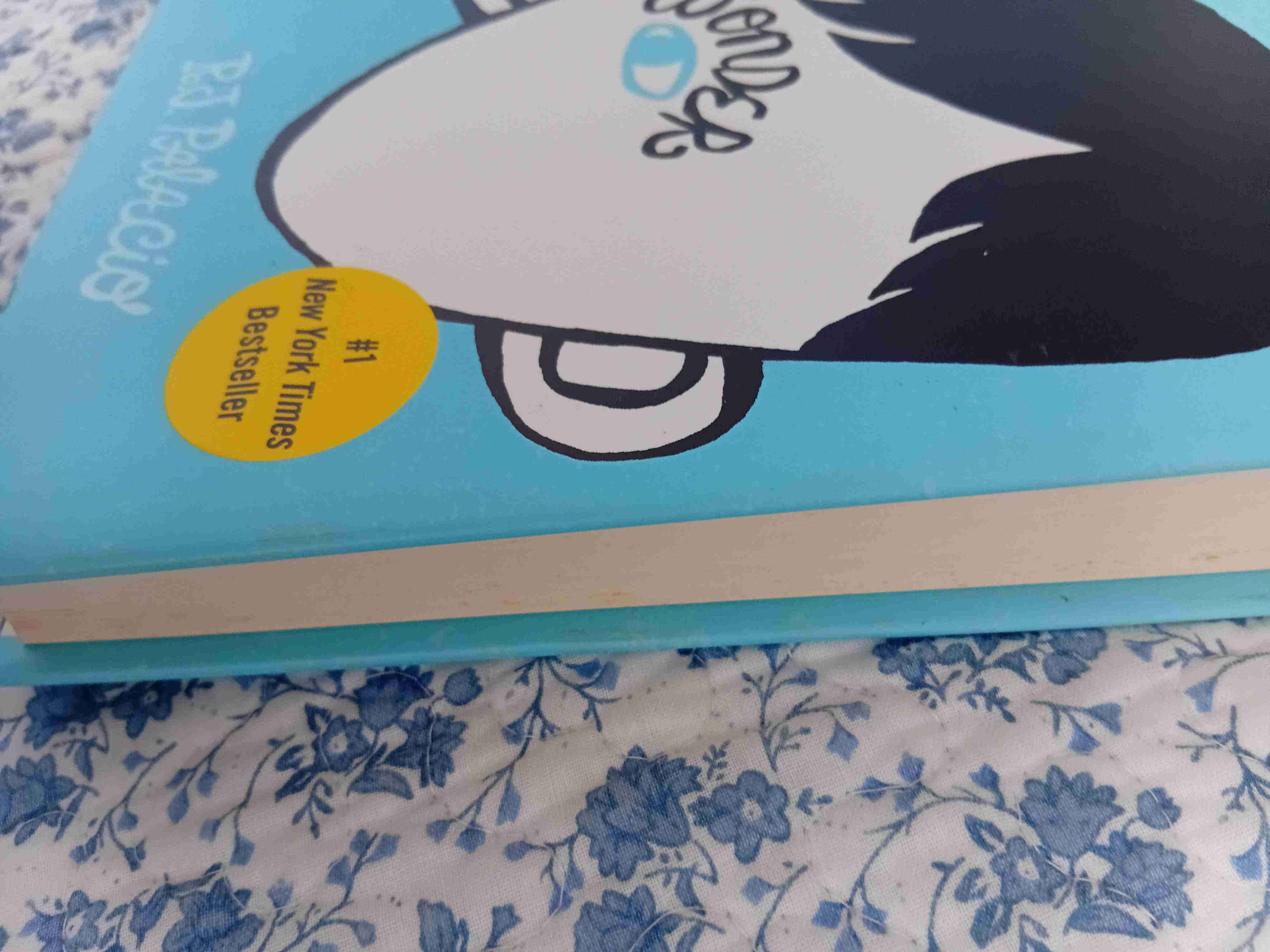 Wonder - R.J. Palacio - 3