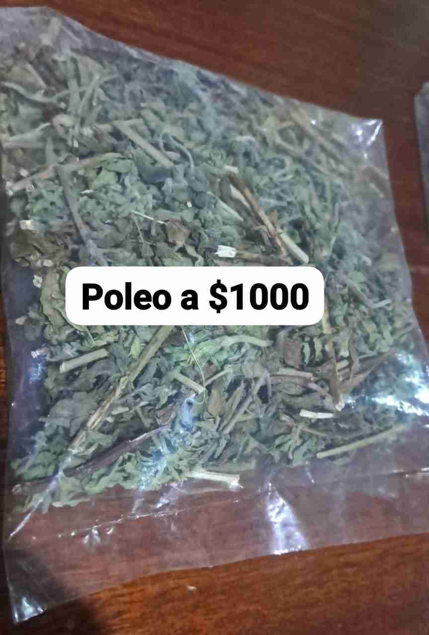 Bolsa de menta seca..poleo   yerba de San juan.. - miniatura 4