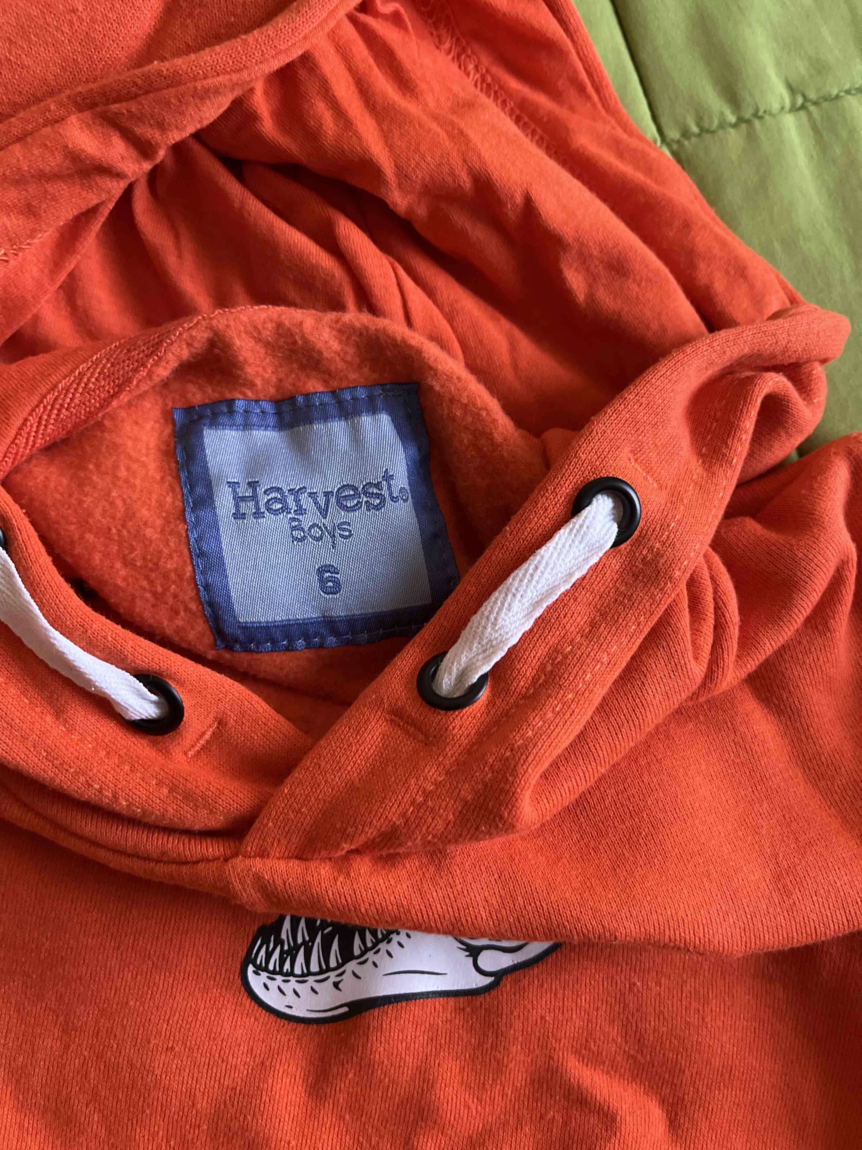 Polerón naranja con capucha de dinosaurios - miniatura 4