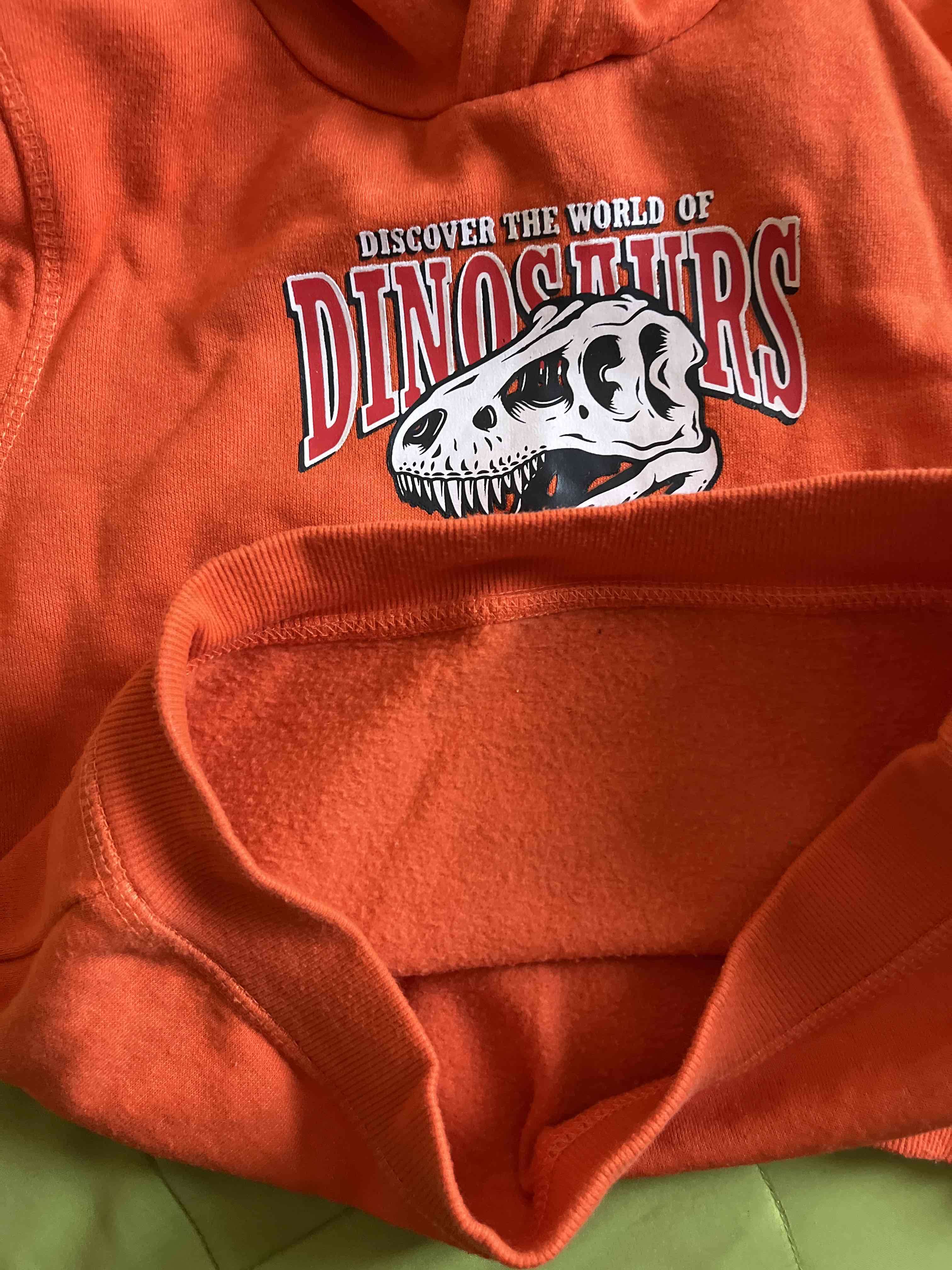 Polerón naranja con capucha de dinosaurios - miniatura 5