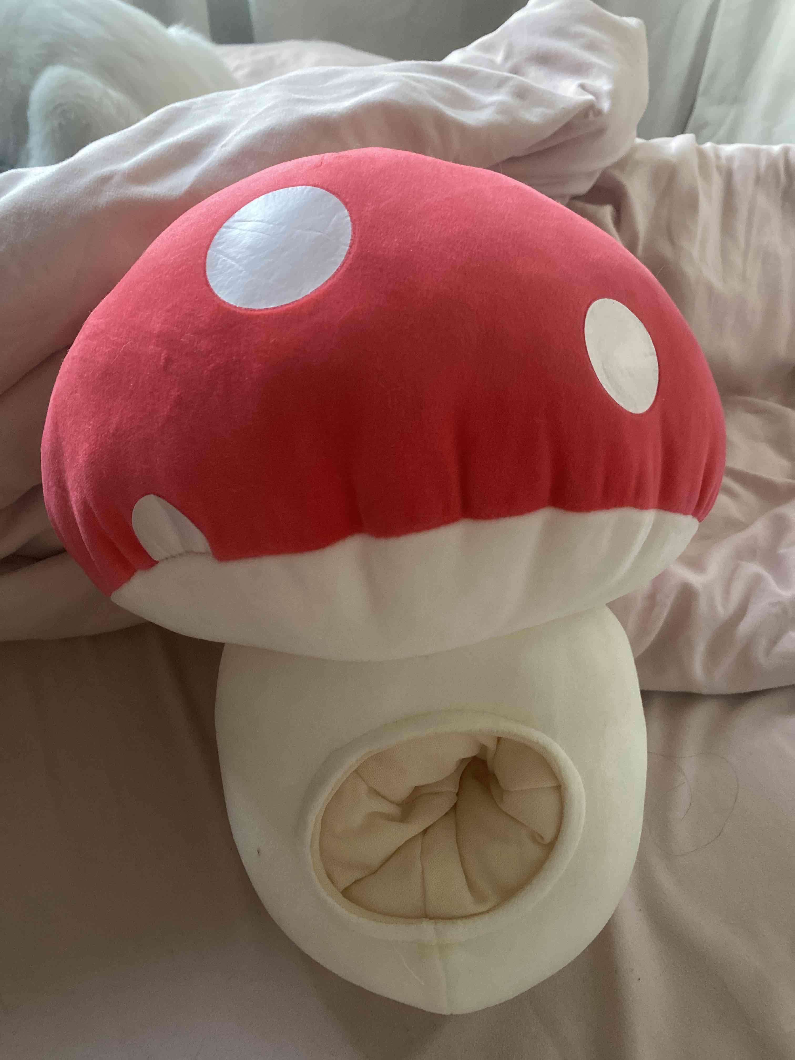 Cama para mascotas en forma de hongo