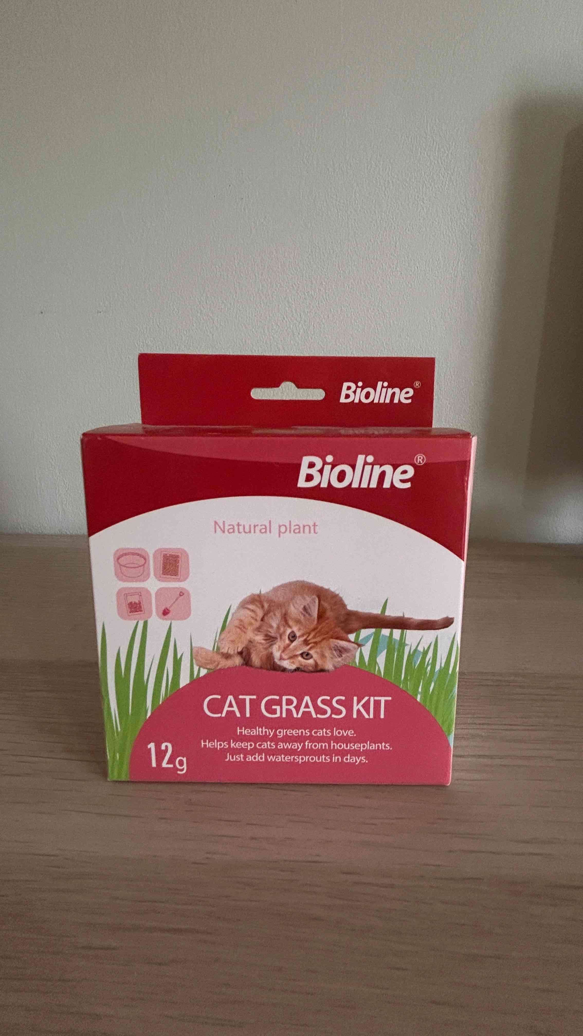 Kit de pasto para gatos Bioline