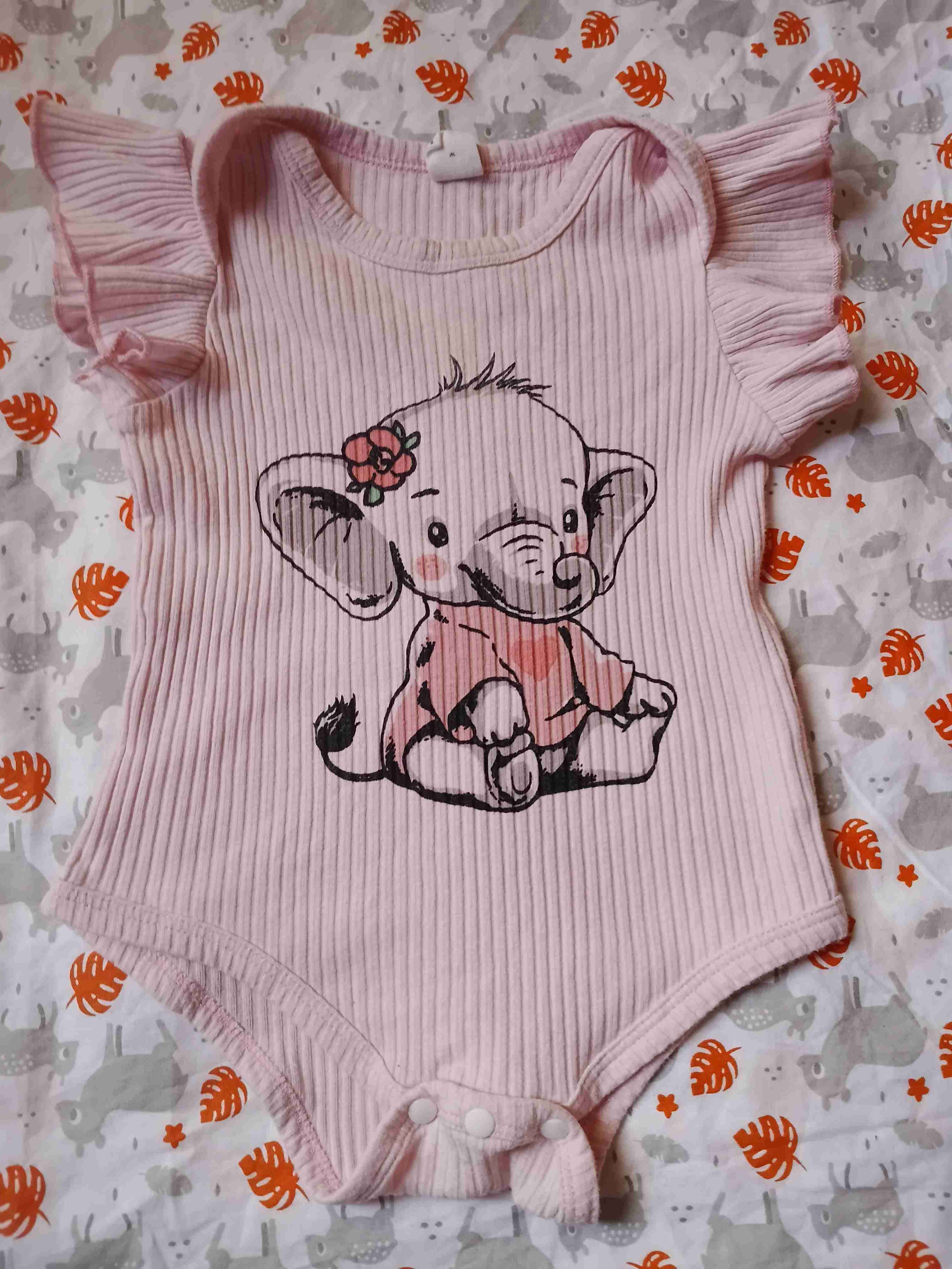 Lote de ropa bebé niña talla 3 a 6 meses - 2