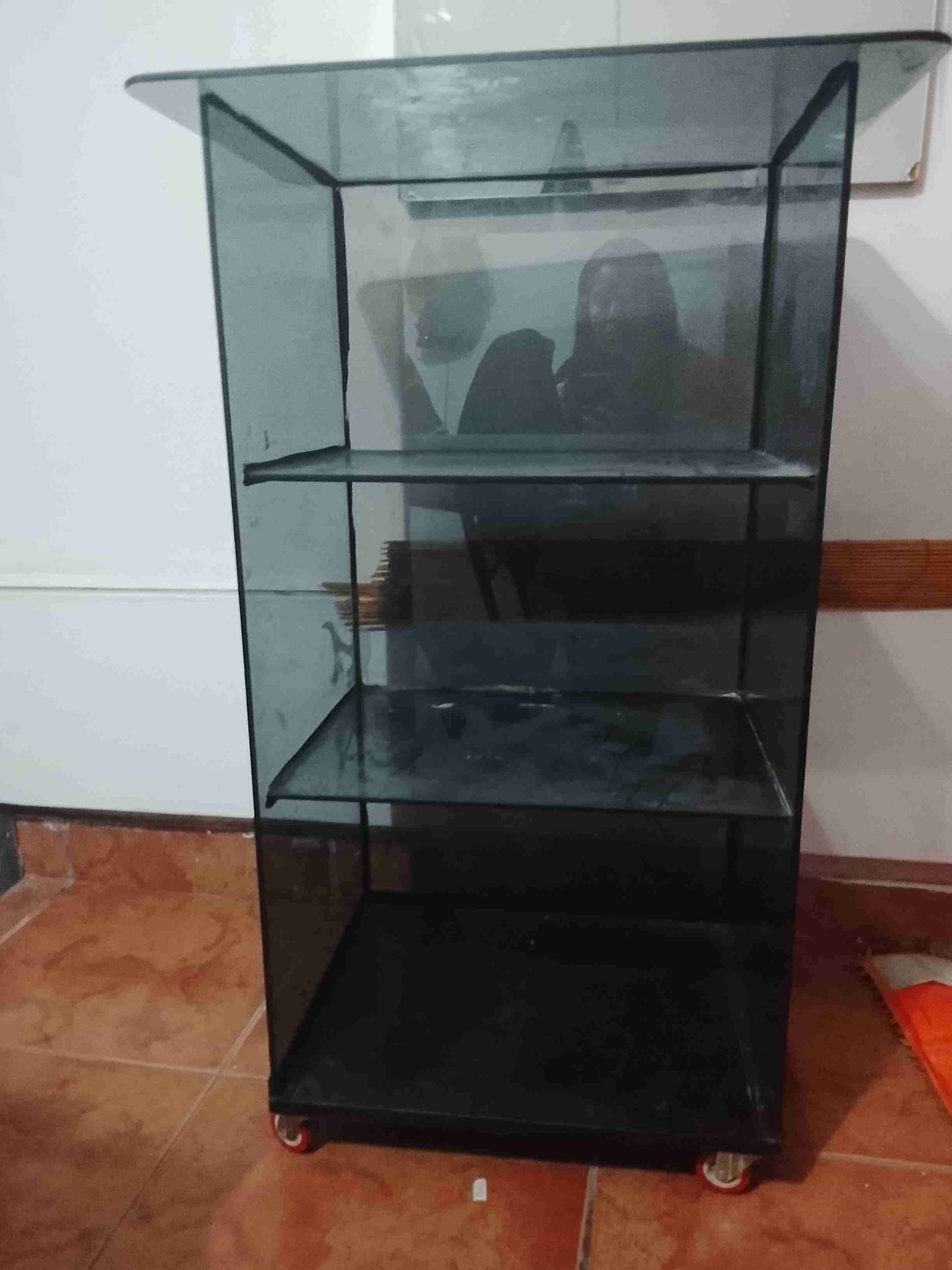 Estante de vidrio con ruedas - 1