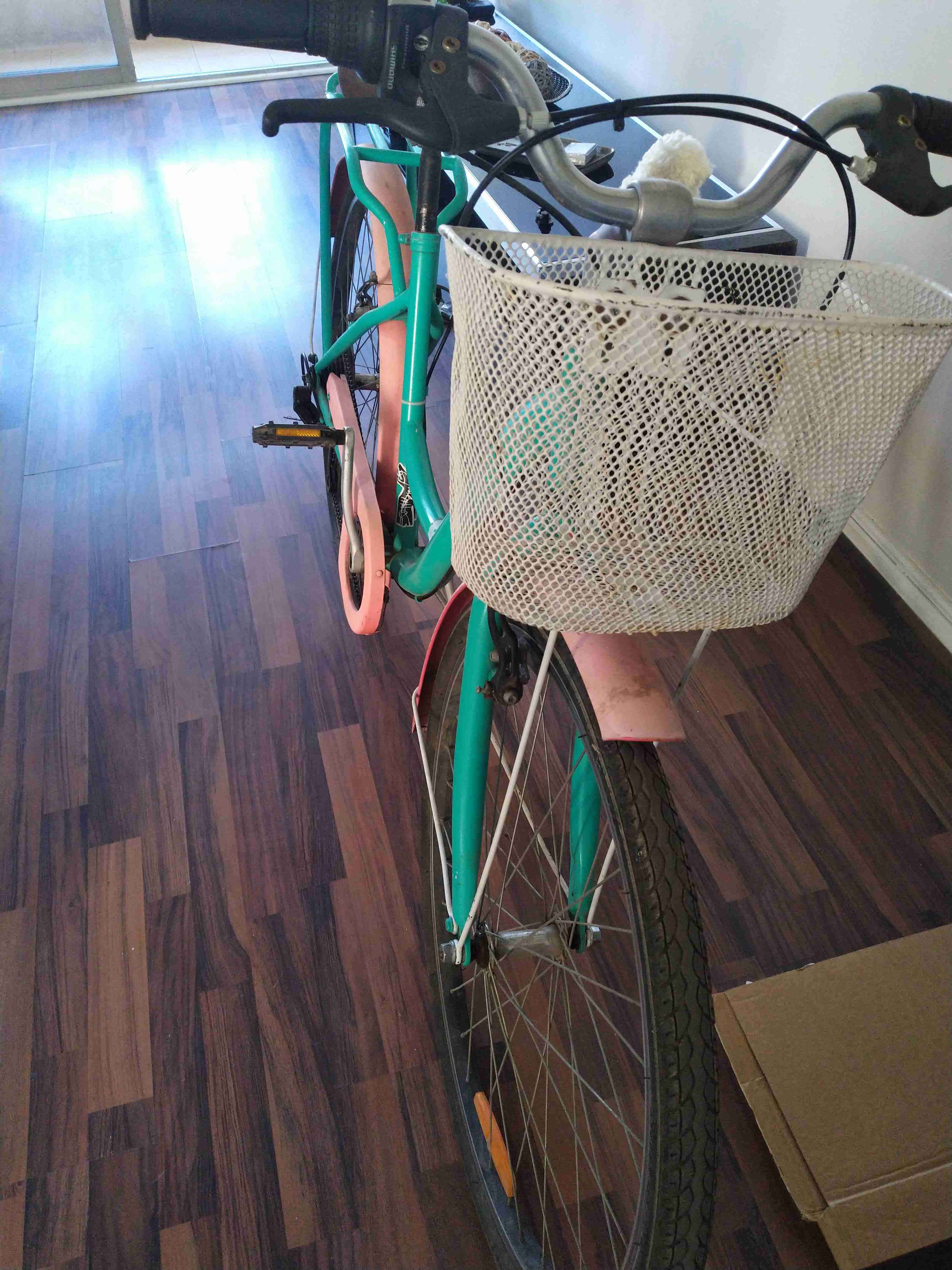 Bicicleta con canasto color verde aro 26 - 1