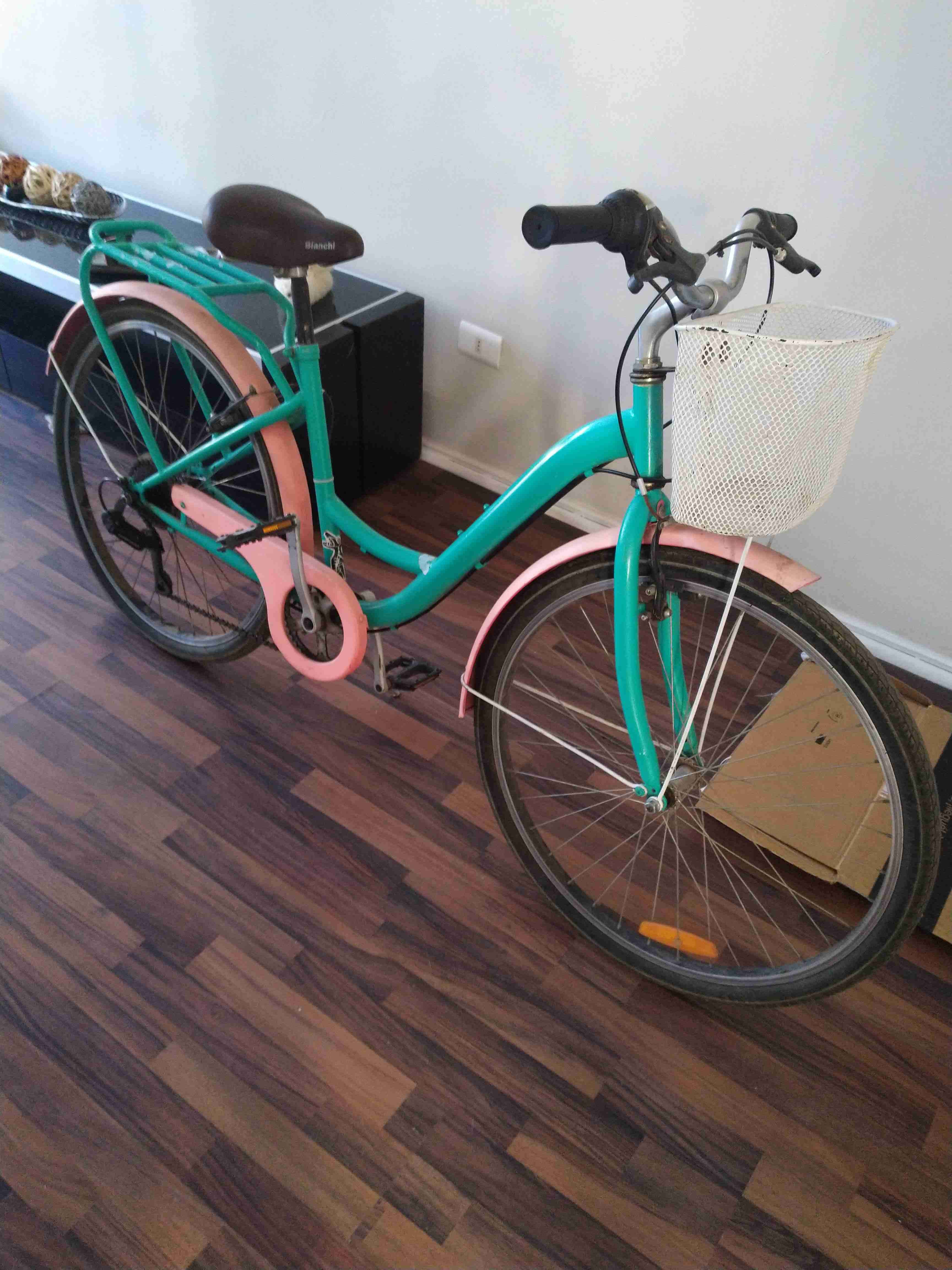 Bicicleta con canasto color verde aro 26 - 4