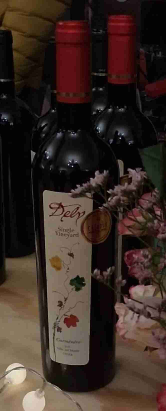 Vino Carmenere Single Vineyard - 2