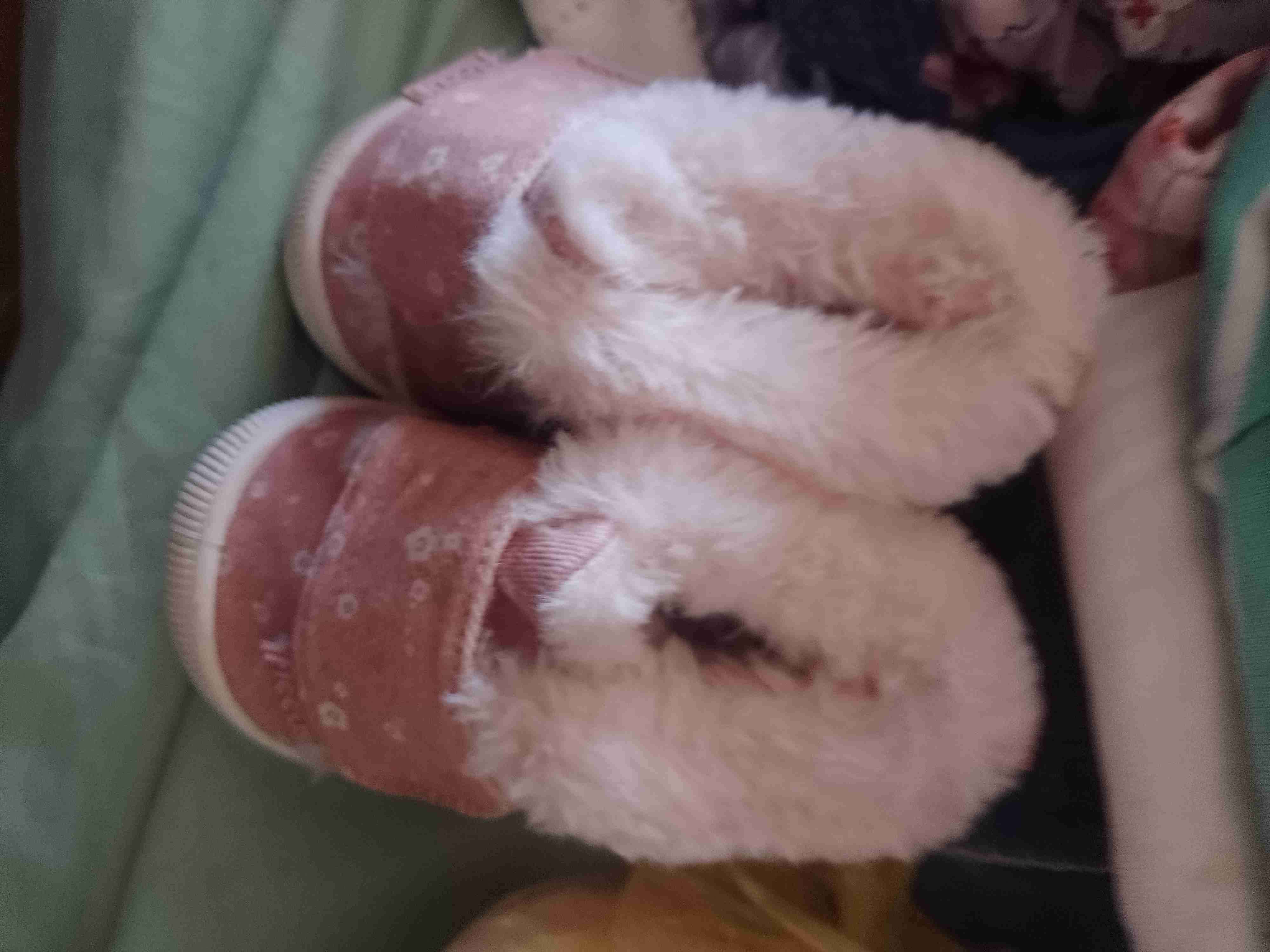 Ropa infantil variada - 5