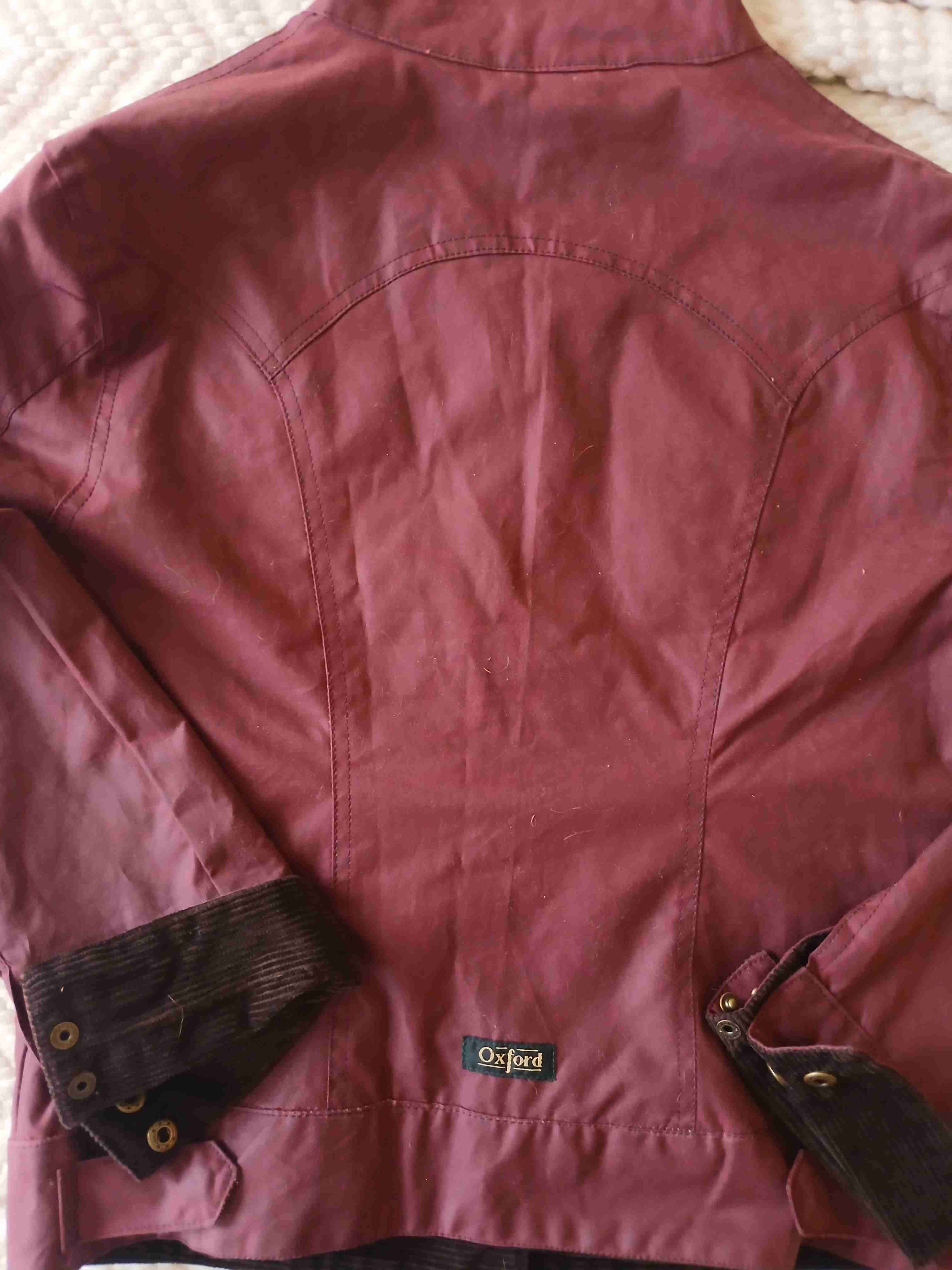 Chaqueta marrón Oxford - miniatura 1