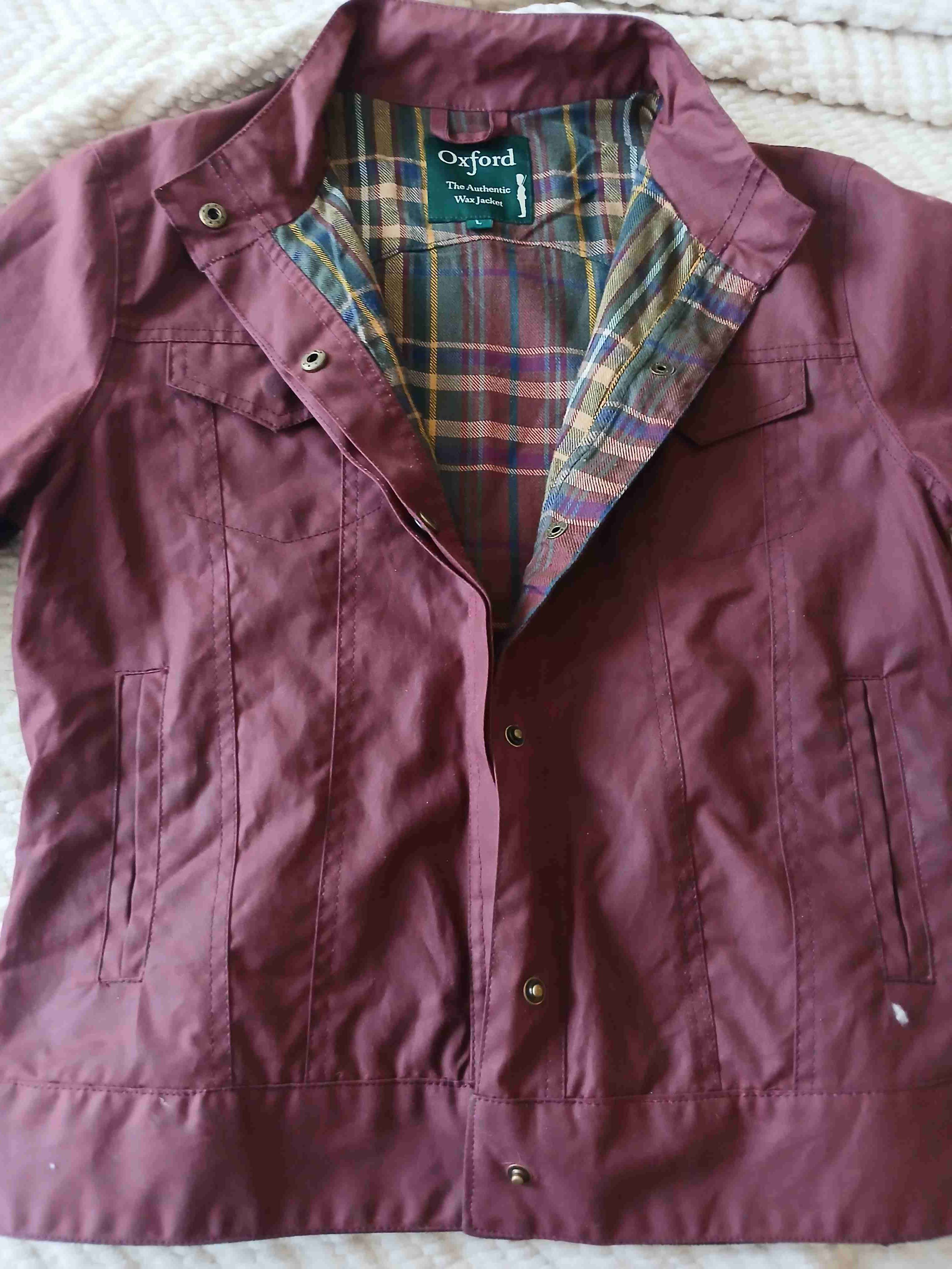 Chaqueta marrón Oxford - miniatura 4
