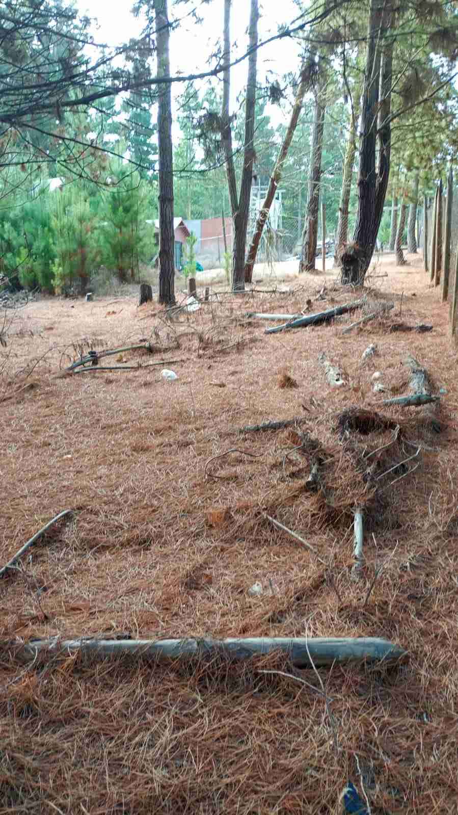 Vendo terreno en laguna verde valparaiso - miniatura 3
