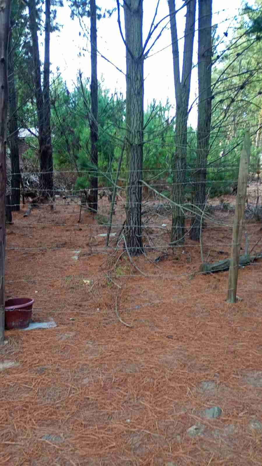 Vendo terreno en laguna verde valparaiso - miniatura 5