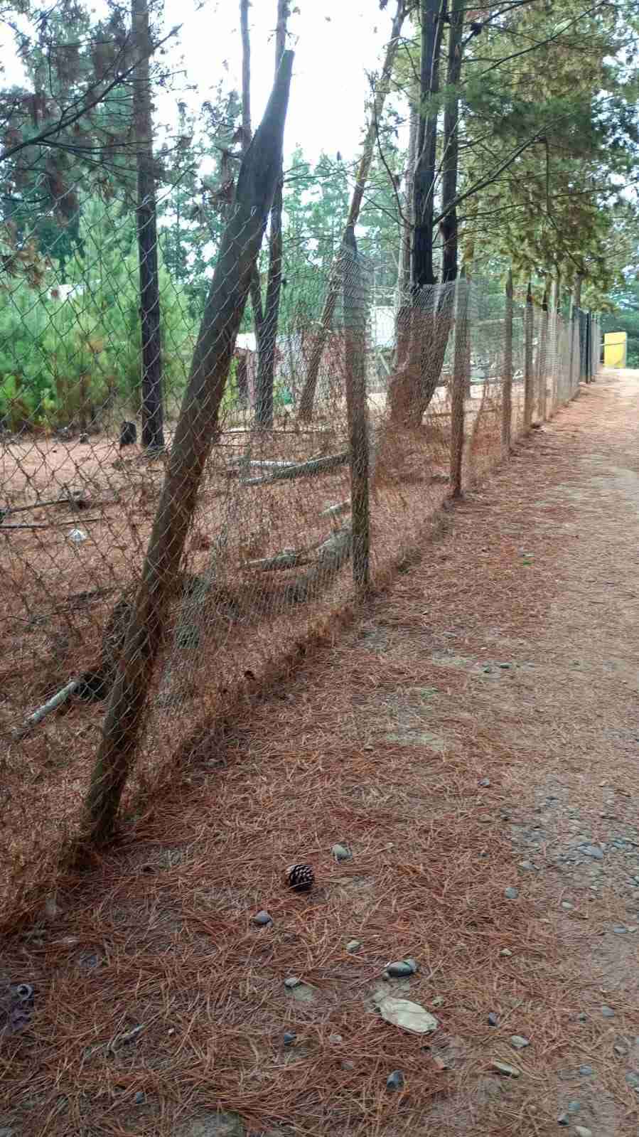 Vendo terreno en laguna verde valparaiso - miniatura 6